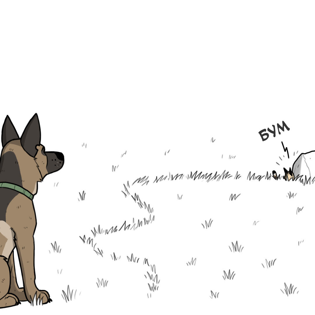 Serengeti - Pet foolery, Brutus and Pixie, Comics, Longpost, cat, Dog, Grass