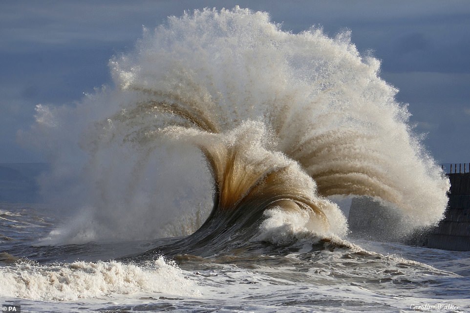 Winners of the British photography competition 'Best Marine Photography' - The photo, Ocean, Longpost