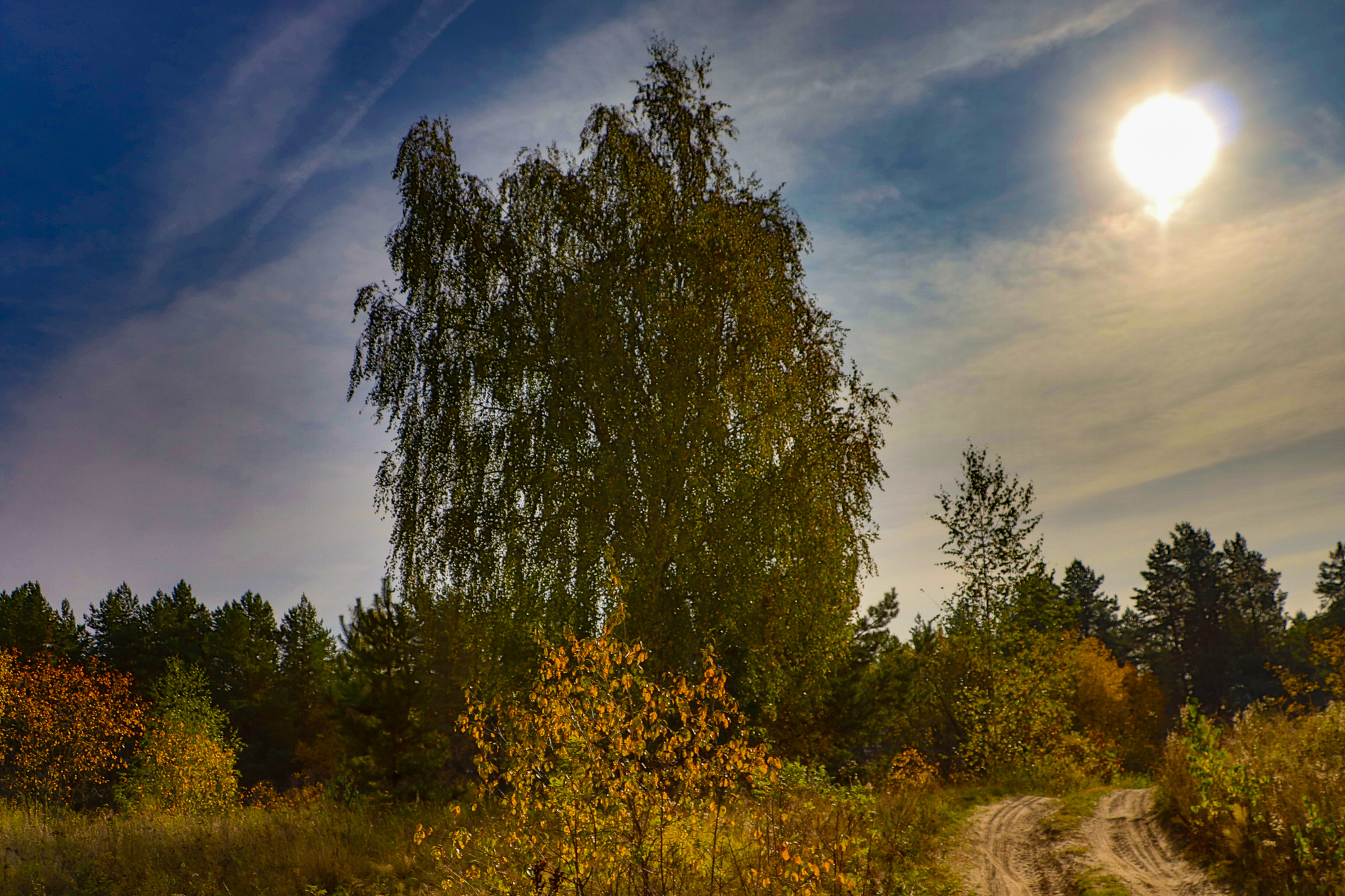 Landscape - My, The photo, Landscape, Autumn, Nature, Canon 800D, HDR, Longpost, Autumn leaves