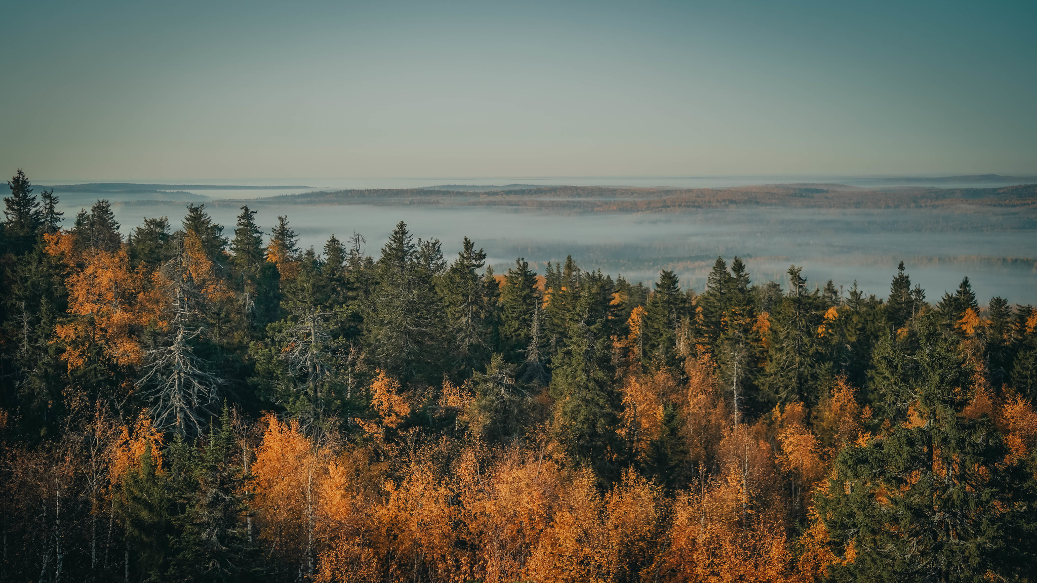 Autumn Ural - My, Ural, Nature, The photo, Autumn, Longpost, beauty of nature