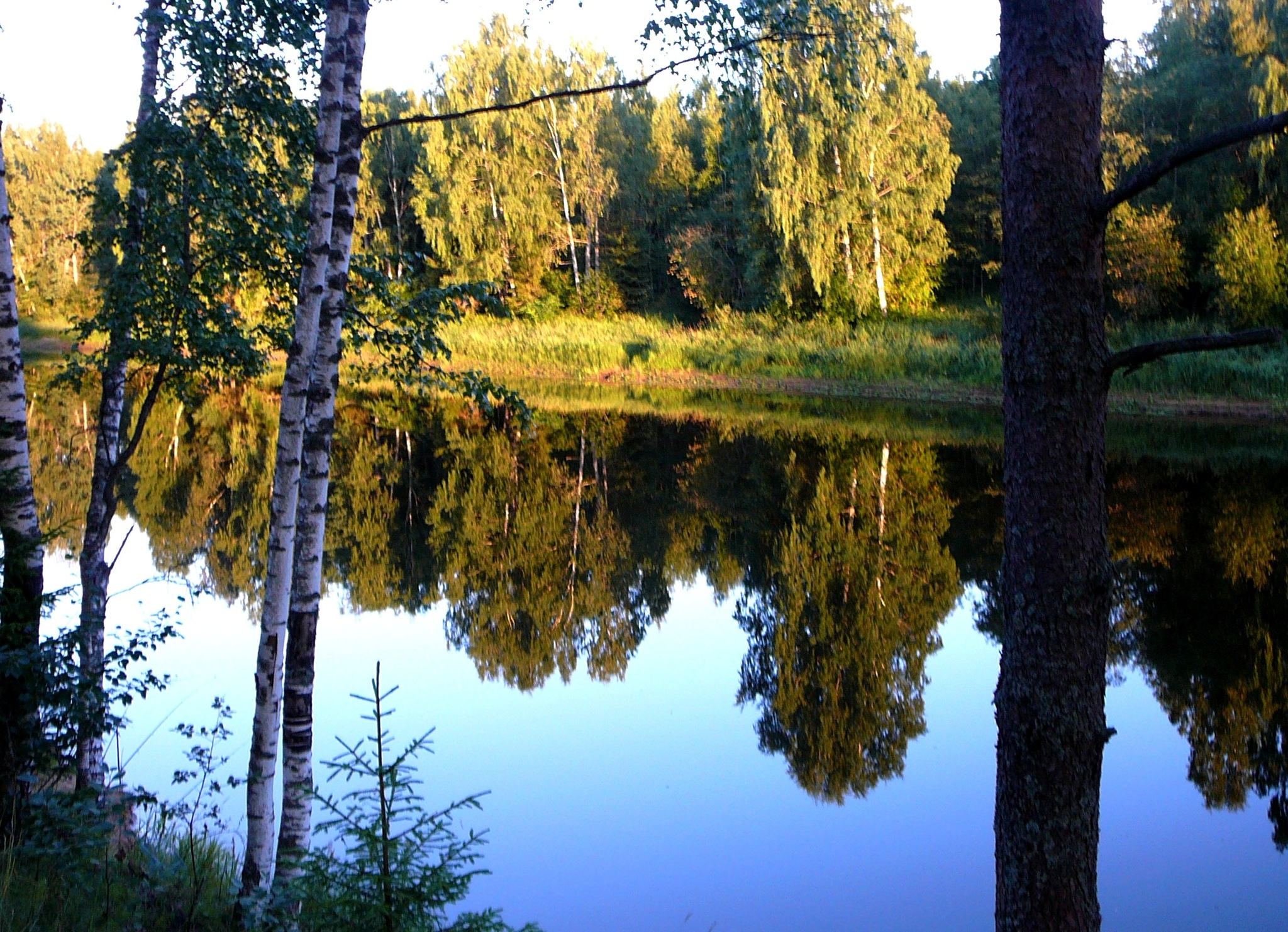 Как красиво подписать фото природы