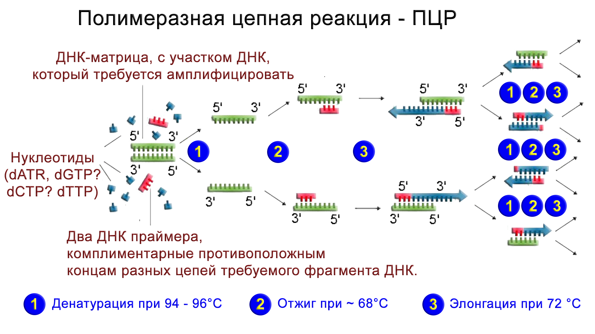 Хунну потомки скифов и предки гуннов, аваров, мадьяр? - Моё, Наука, Хунну, История, Длиннопост, Популяционная генетика, Скифы, Видео, Гифка