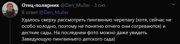 Пойдем. Считать. Пингвинов! [ твиттер полярника ] - Пингвины, Фотография, Twitter, Антарктида, Тюлень, Социальные сети, Длиннопост