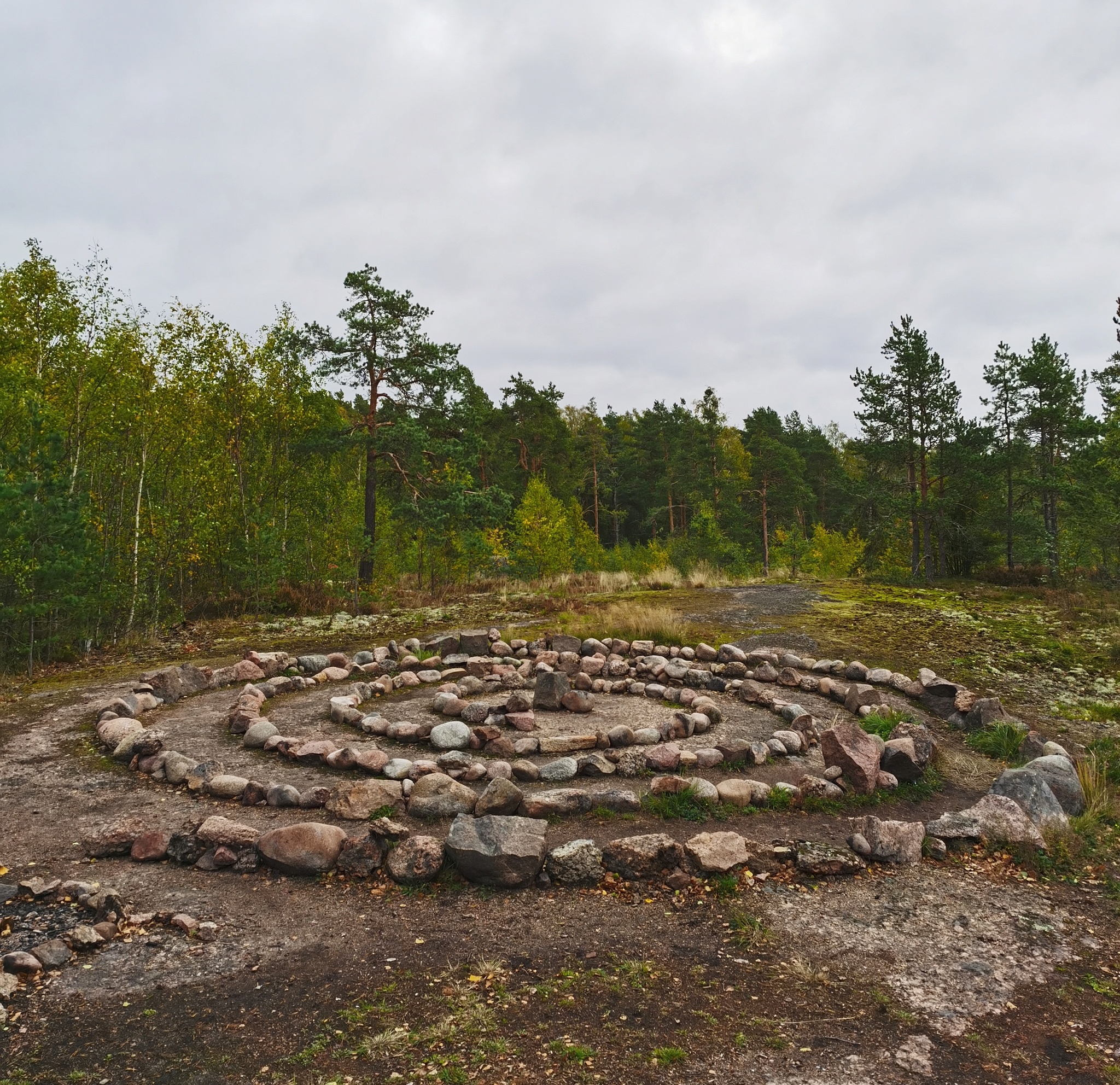 Gustoy Island. The Gulf of Finland - My, Mobile photography, Leningrad region, The Gulf of Finland, Island, Autumn, Landscape, Russia, Longpost, Nature