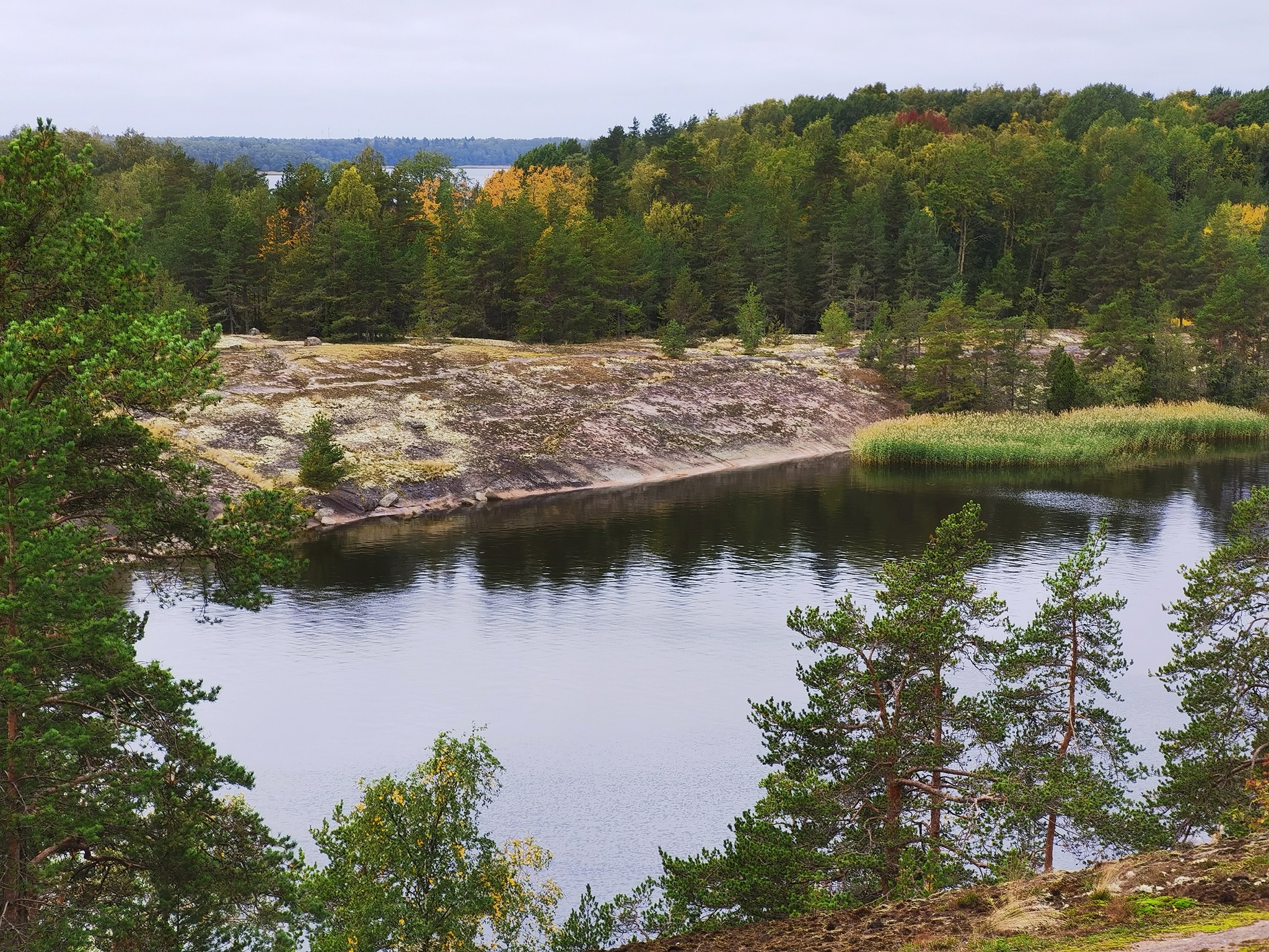 Gustoy Island. The Gulf of Finland - My, Mobile photography, Leningrad region, The Gulf of Finland, Island, Autumn, Landscape, Russia, Longpost, Nature