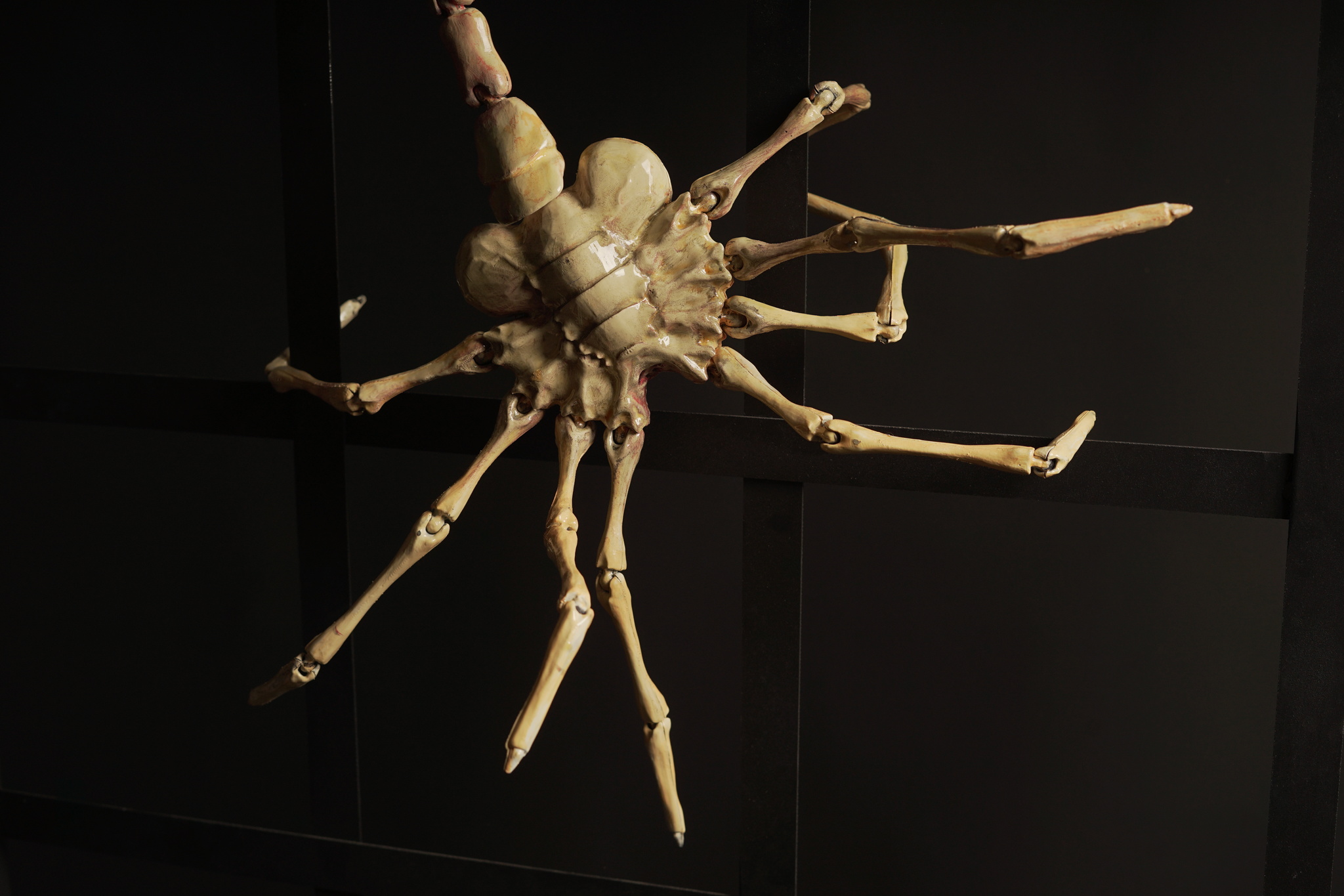 Facehugger/Facehugger from Aliens - My, Stranger, 3D печать, Craft, Face grabber, Longpost