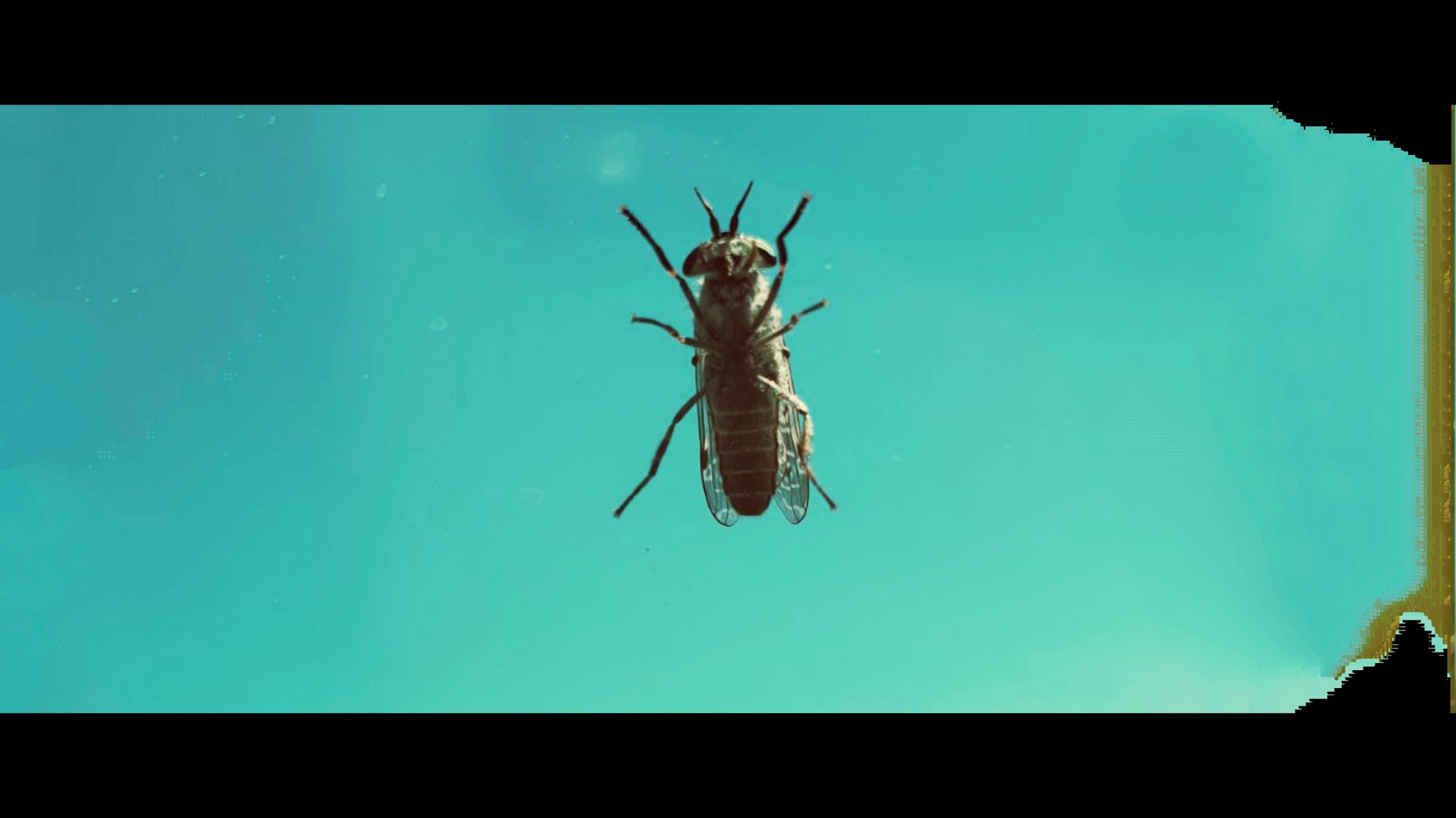 Без композиции, симметрии и смысла | Пикабу