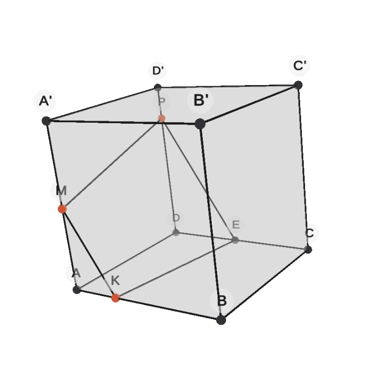 Stereometry: sections and how to live with them - Mathematics, Unified State Exam, Geometry, School, Studies, Longpost