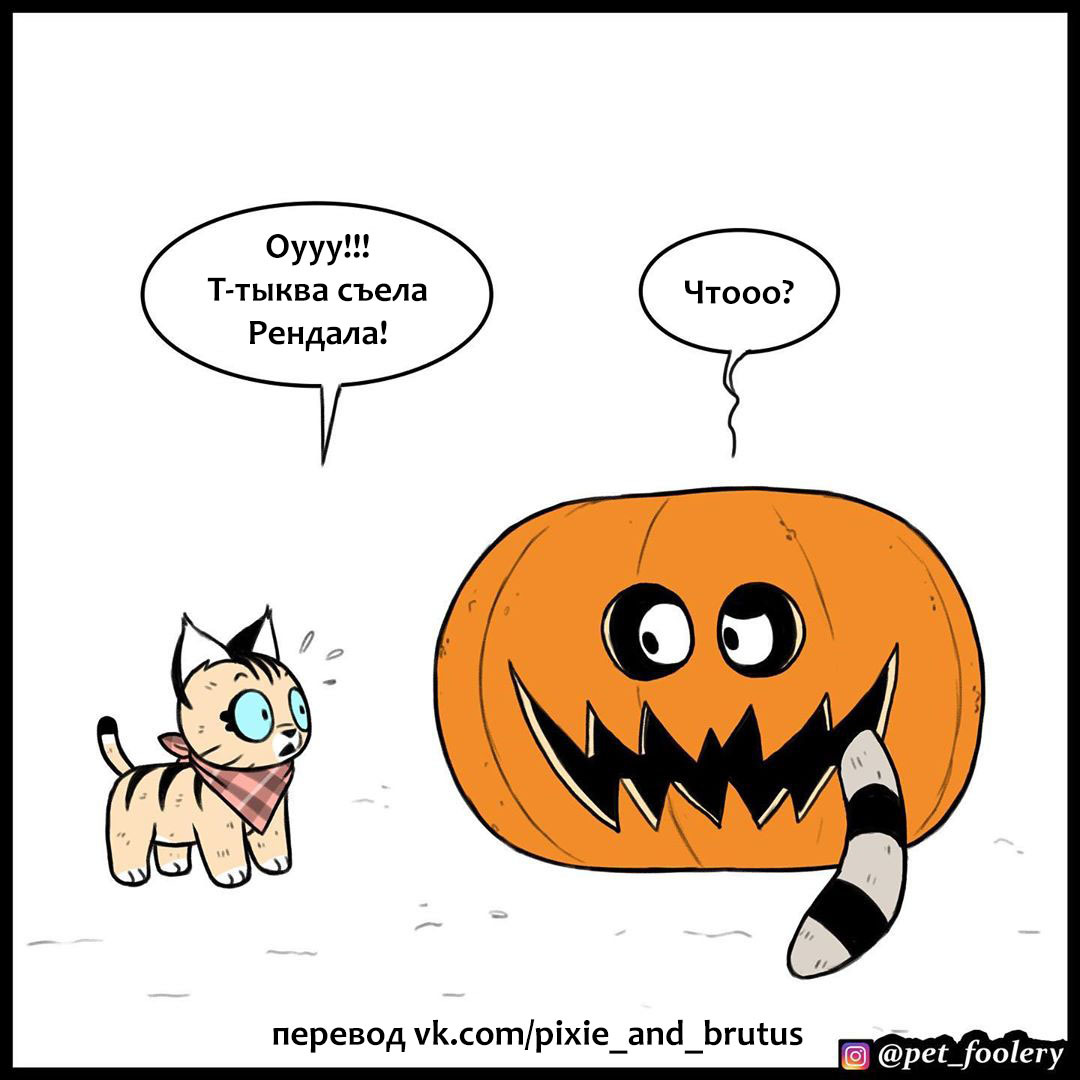 Live pumpkin - Comics, Animals, Humor, Longpost, Pumpkin, Brutus and Pixie, Pet foolery