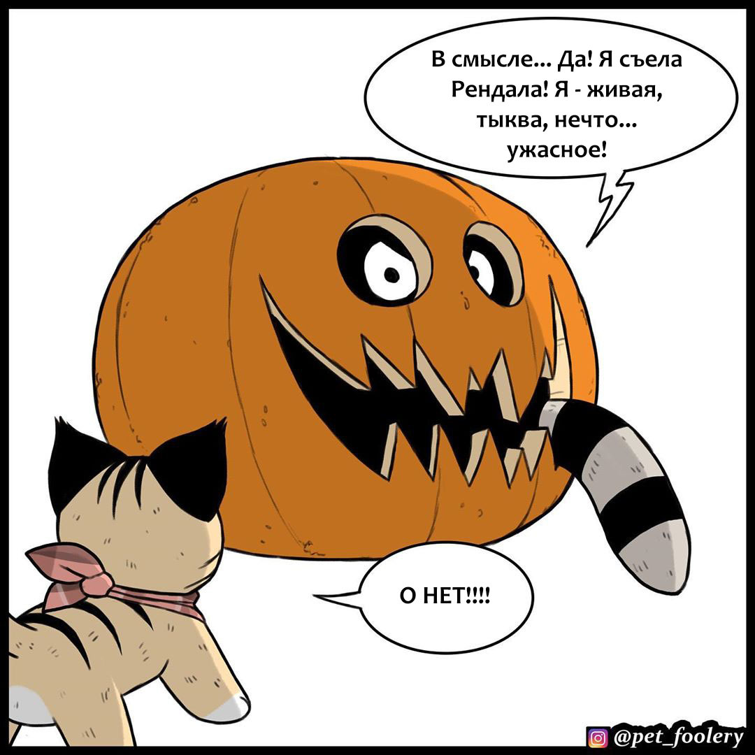 Live pumpkin - Comics, Animals, Humor, Longpost, Pumpkin, Brutus and Pixie, Pet foolery