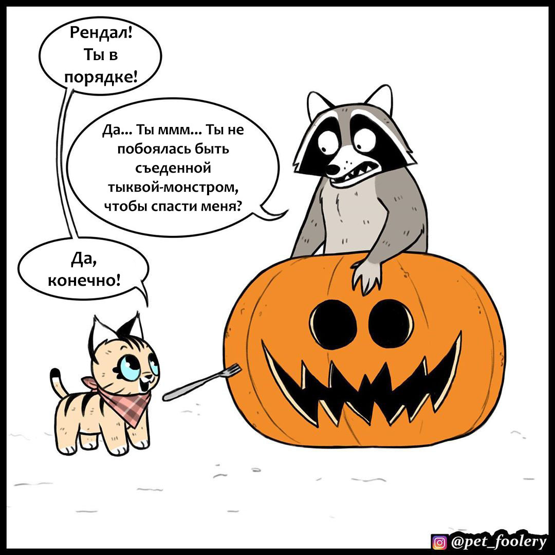 Live pumpkin - Comics, Animals, Humor, Longpost, Pumpkin, Brutus and Pixie, Pet foolery