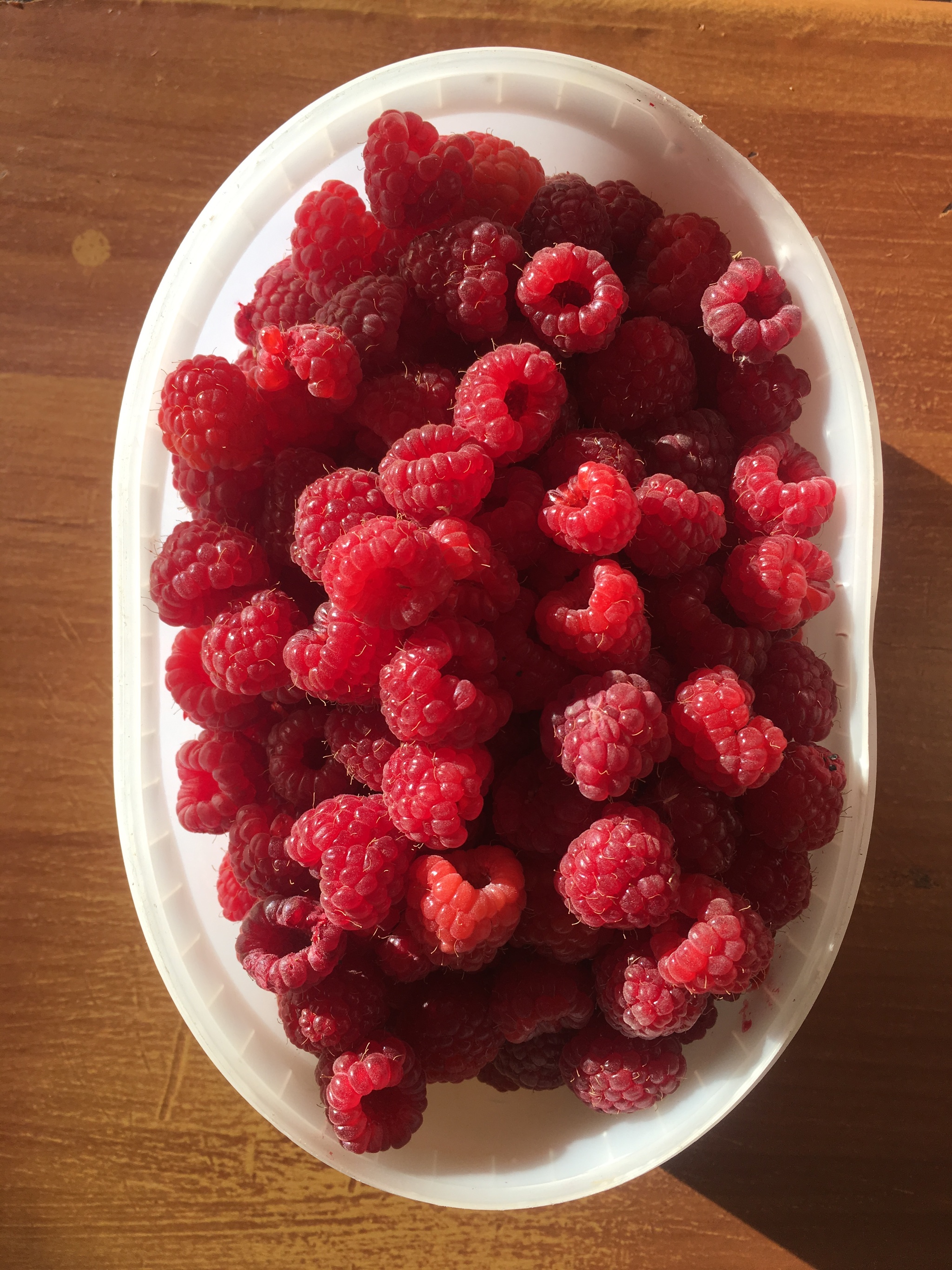 Just October in the Stavropol Territory - My, October, Raspberries, Strawberry (plant), Summer residents, Longpost, Berries, Stavropol region