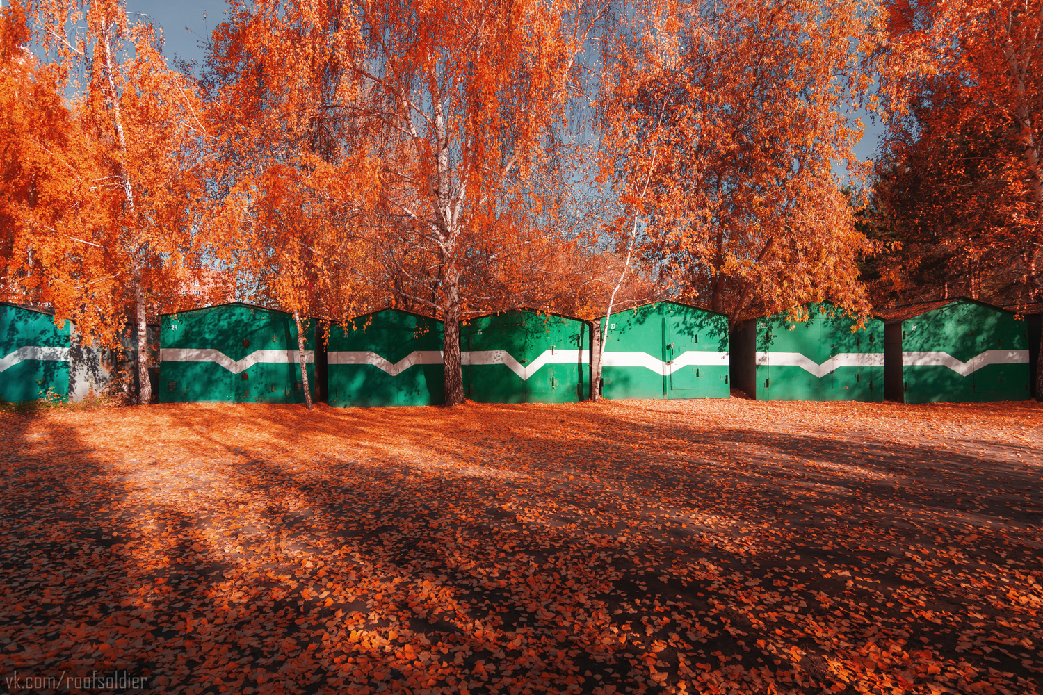 Autumn in Omsk, part 2 - My, Omsk, Autumn, The photo, Photographer, Alexey Golubev, Street photography, Landscape, Fuck aesthetics, Color, Russia, Longpost