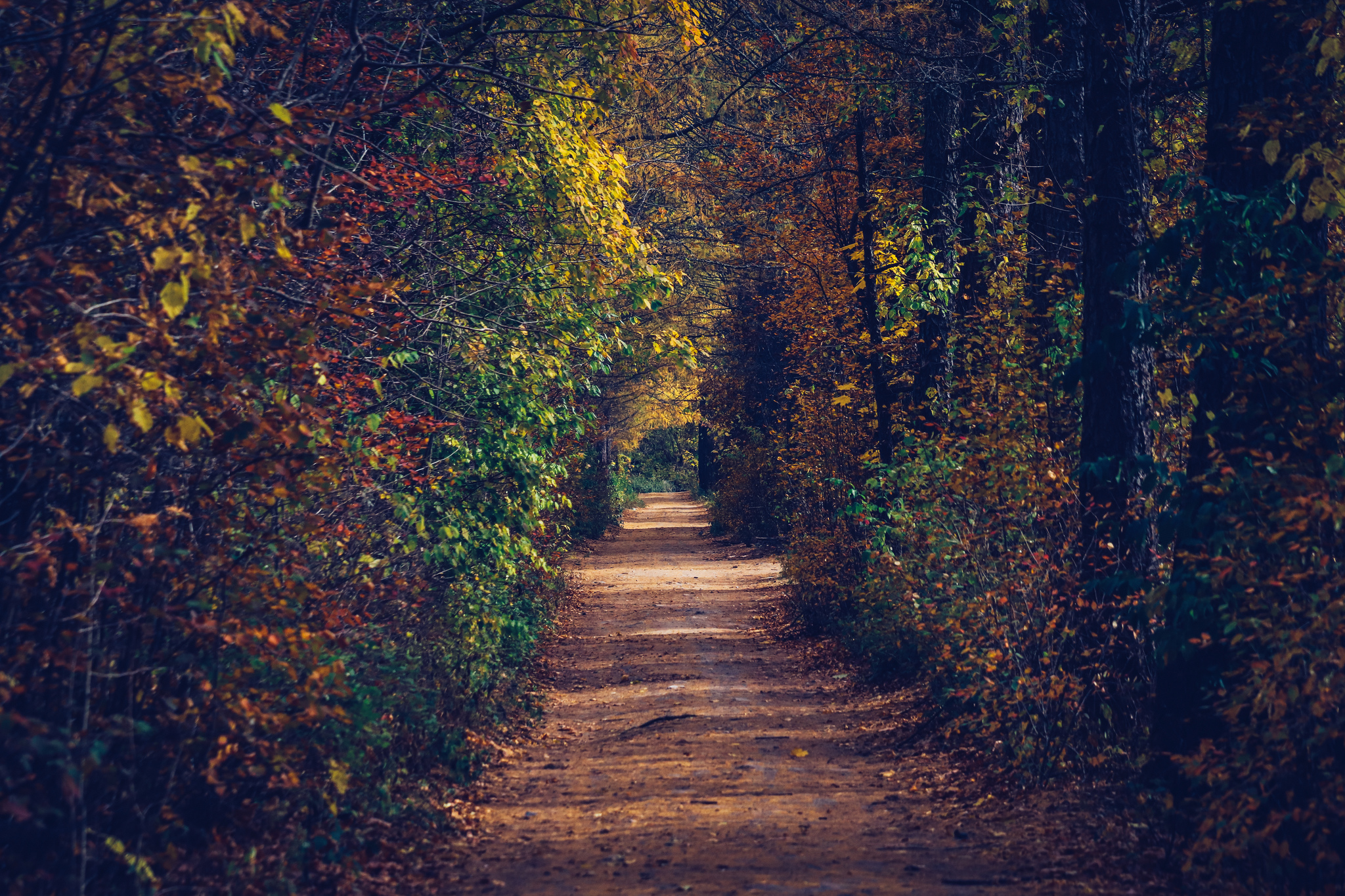 Cycling - My, The photo, A bike, Nature, Longpost