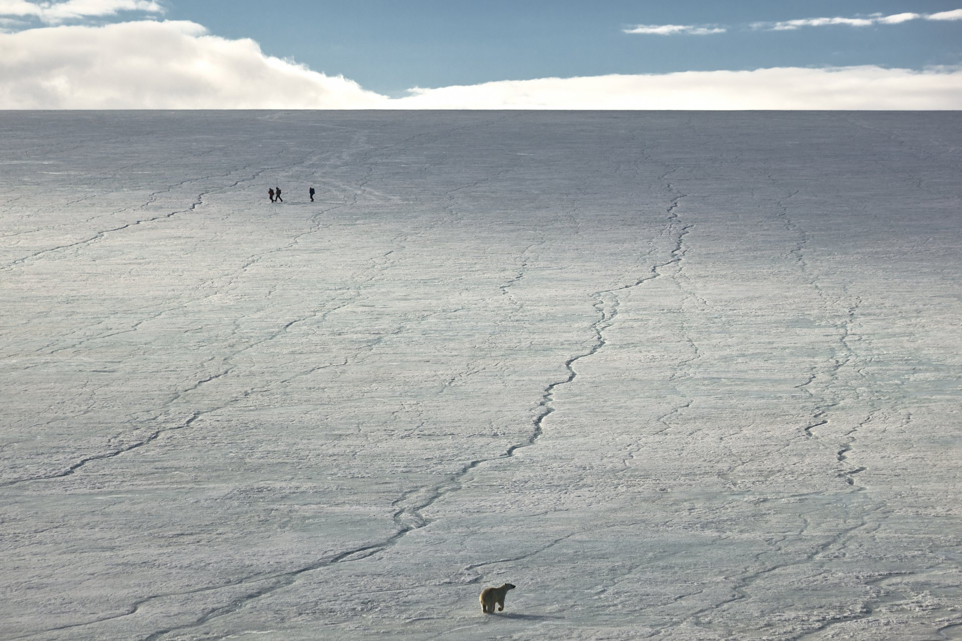 Arctic land