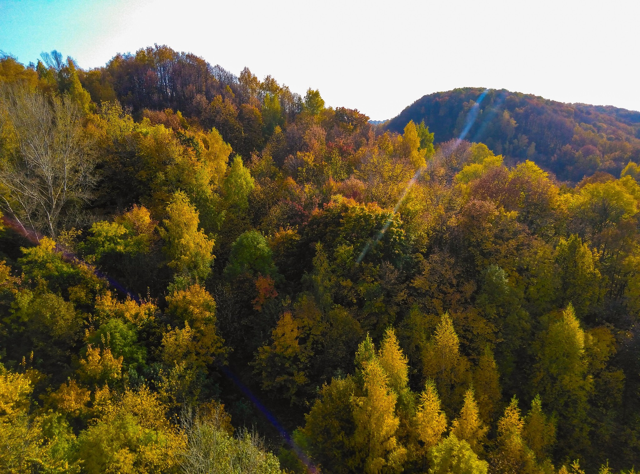 A little autumn - My, Autumn, View from above, The photo, Longpost, Nature, Autumn leaves