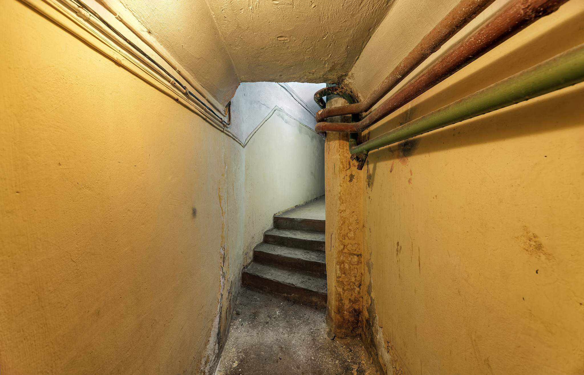 Old shelter with fish - My, Urbanphoto, Asylum, Bomb shelter, Abandoned, Digger, Made in USSR, Longpost