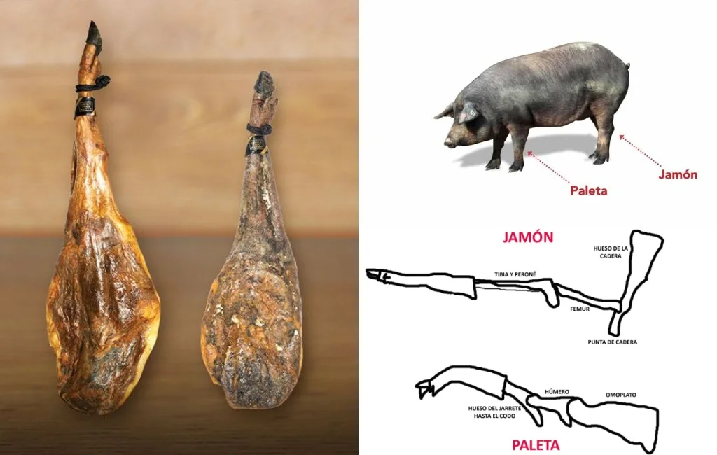 Spanish Jamon - My, Spain, Jamon, Spanish cuisine, Gastronomy, Food, Delicacy, Sanctioned goods, Longpost, Meat