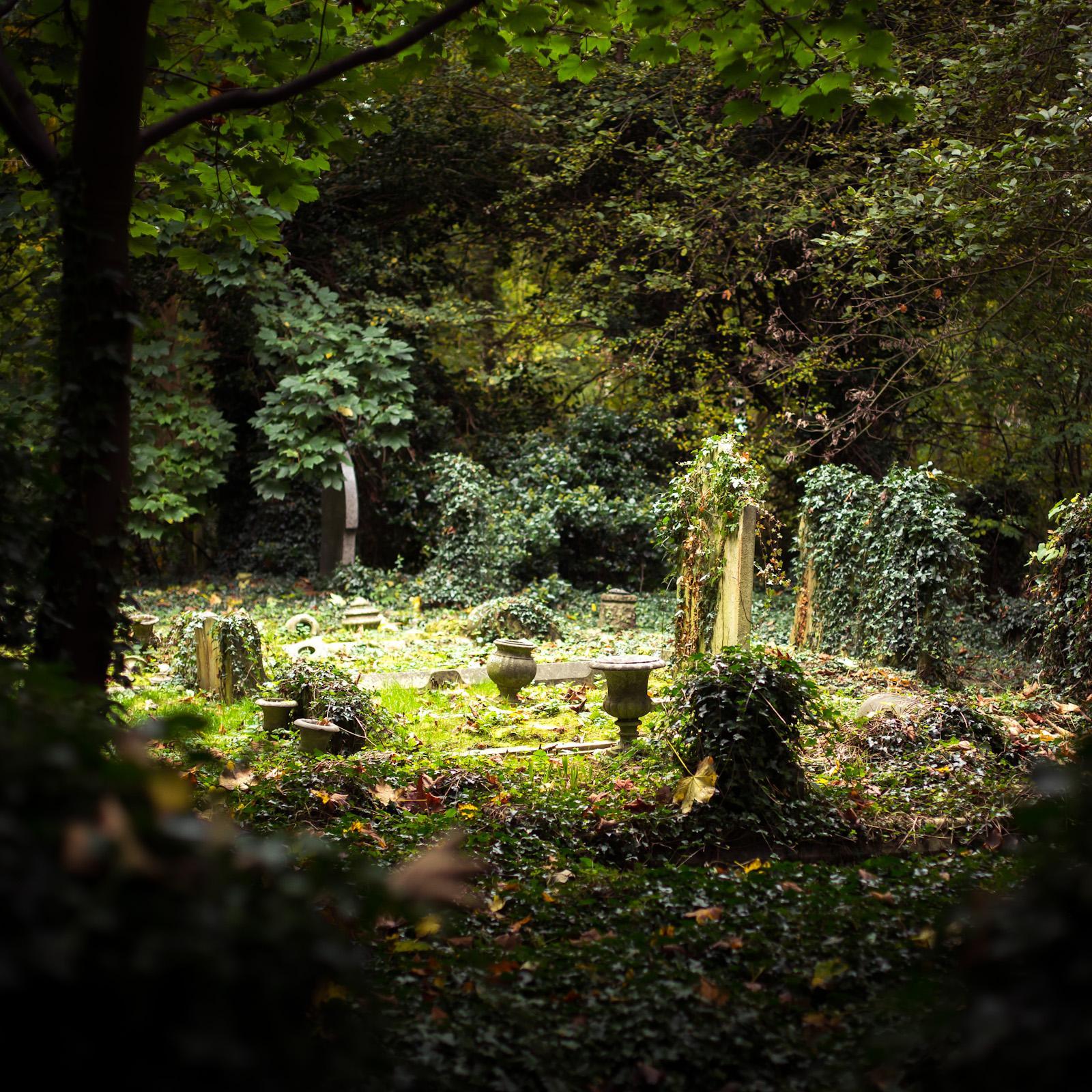 Night scenes from the second season of The Witcher are filmed in a gloomy cemetery in London - The Witcher series, Cemetery, London, Longpost, Witcher, Serials, Filming