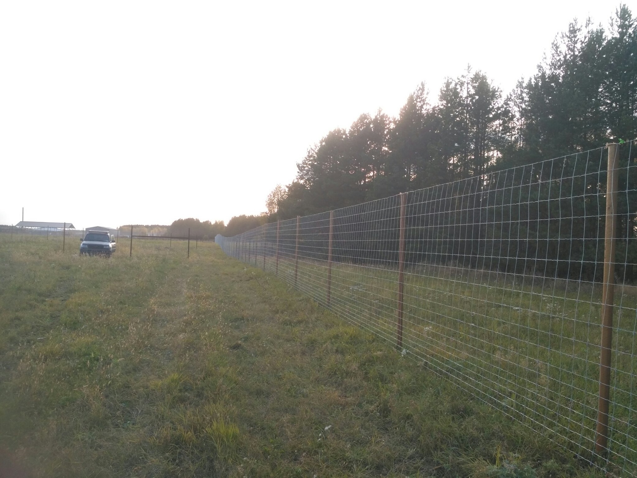 Construction of a deer farm - My, Reindeer herder, Reindeer husbandry, Spotted deer, Farm, Aviary, Longpost