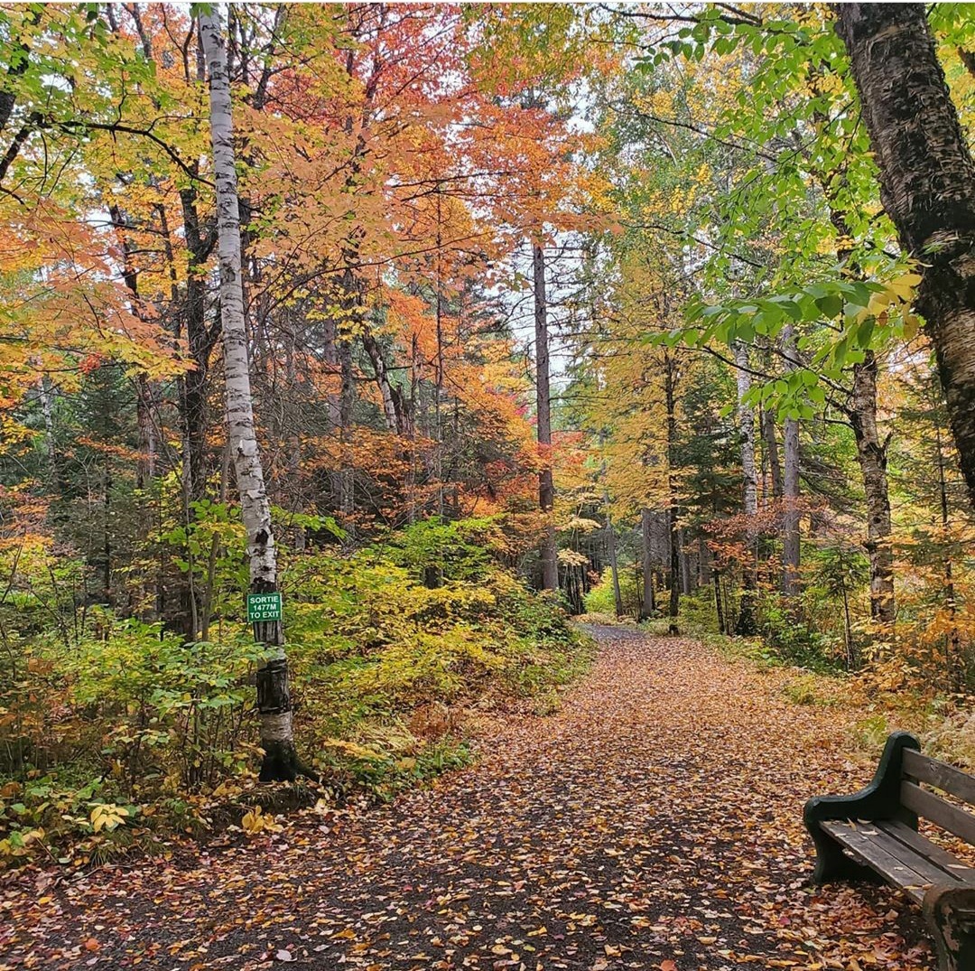 Autumn in Moncton, Canada - The photo, Canada, Nature, Autumn, beauty of nature, Longpost, Autumn leaves