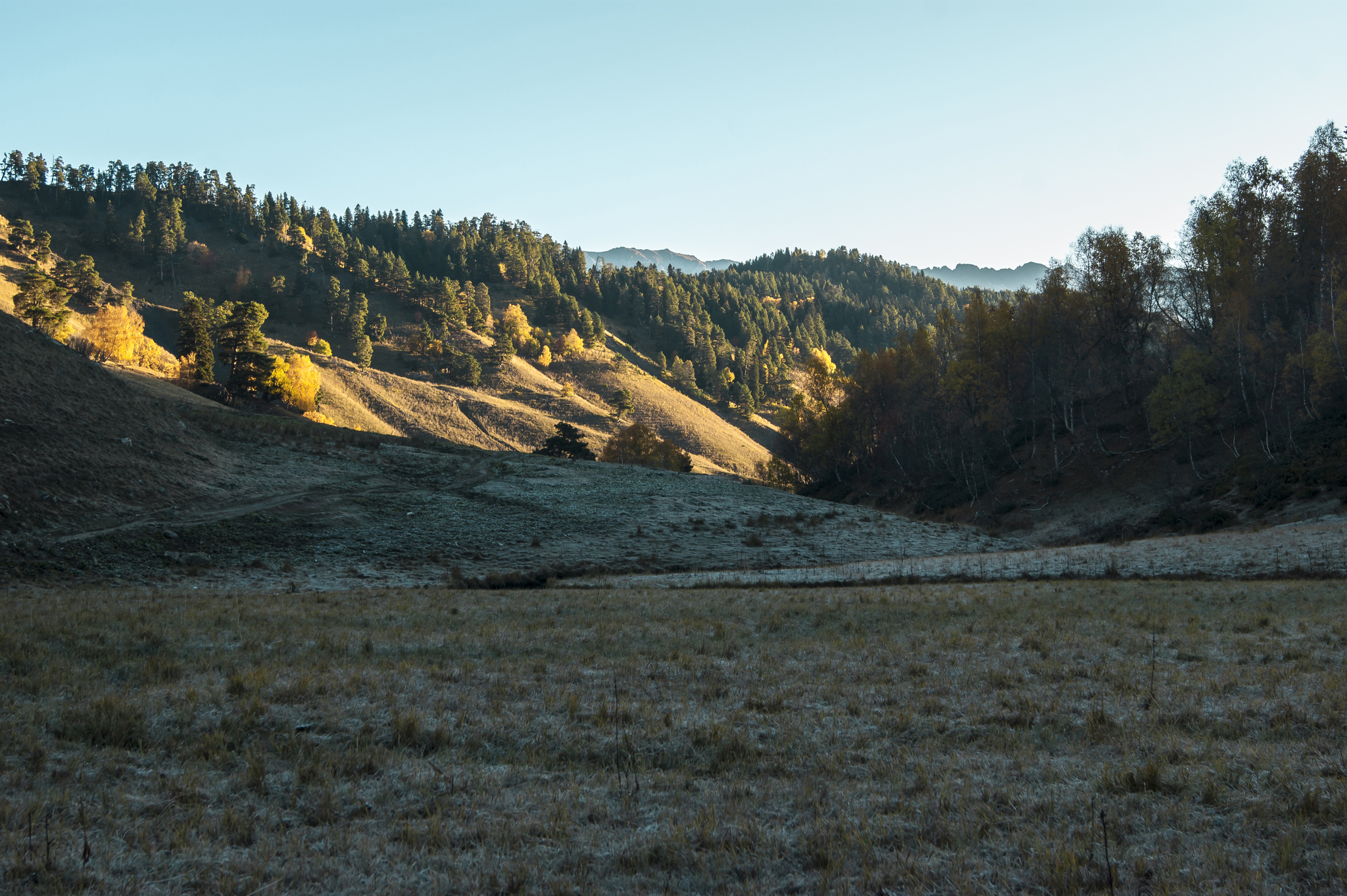 Mountain autumn - My, The mountains, Autumn, Tourism, Hike, The photo, Beginning photographer, Forest, Longpost, Nature