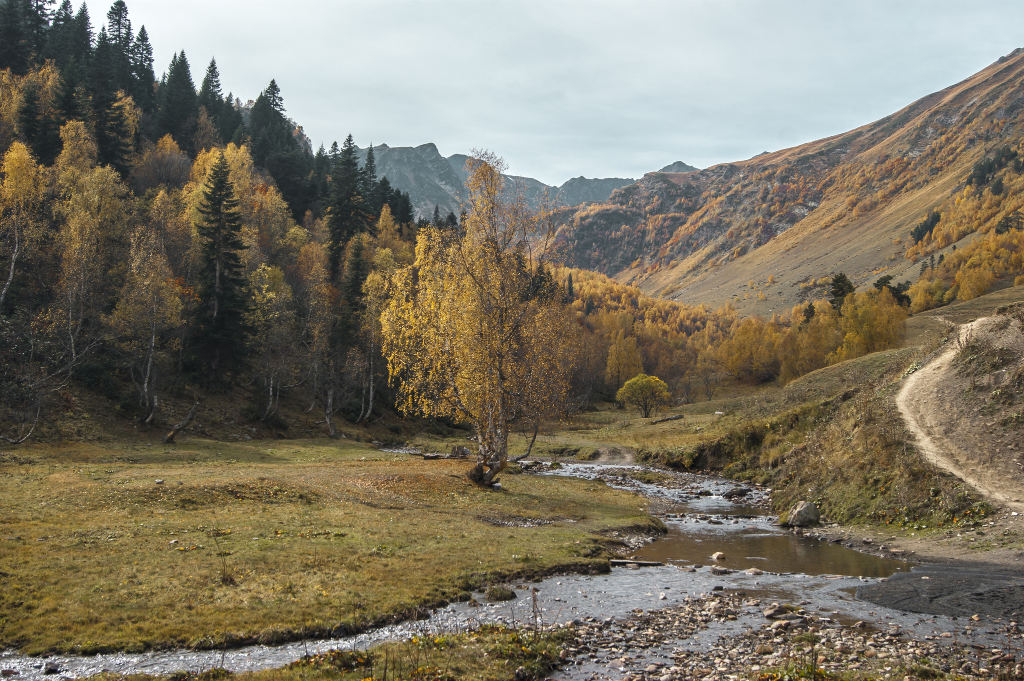 Mountain autumn - My, The mountains, Autumn, Tourism, Hike, The photo, Beginning photographer, Forest, Longpost, Nature