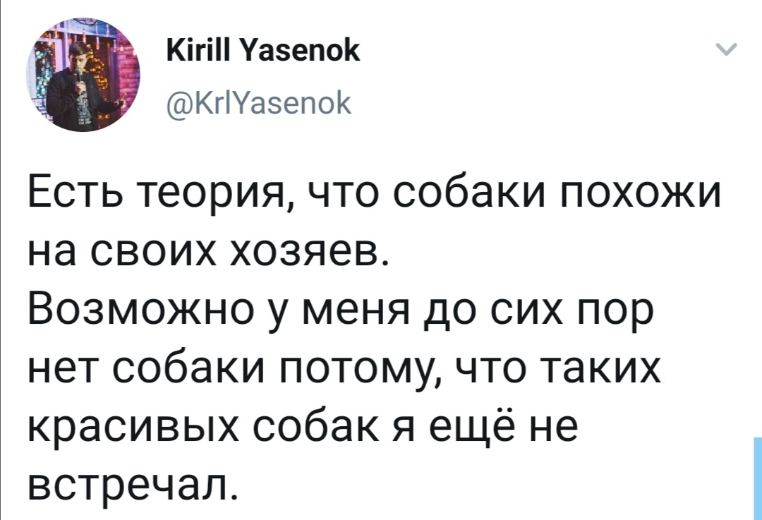 Собаки - Собаки и люди, Собака, Скриншот, Юмор, Twitter