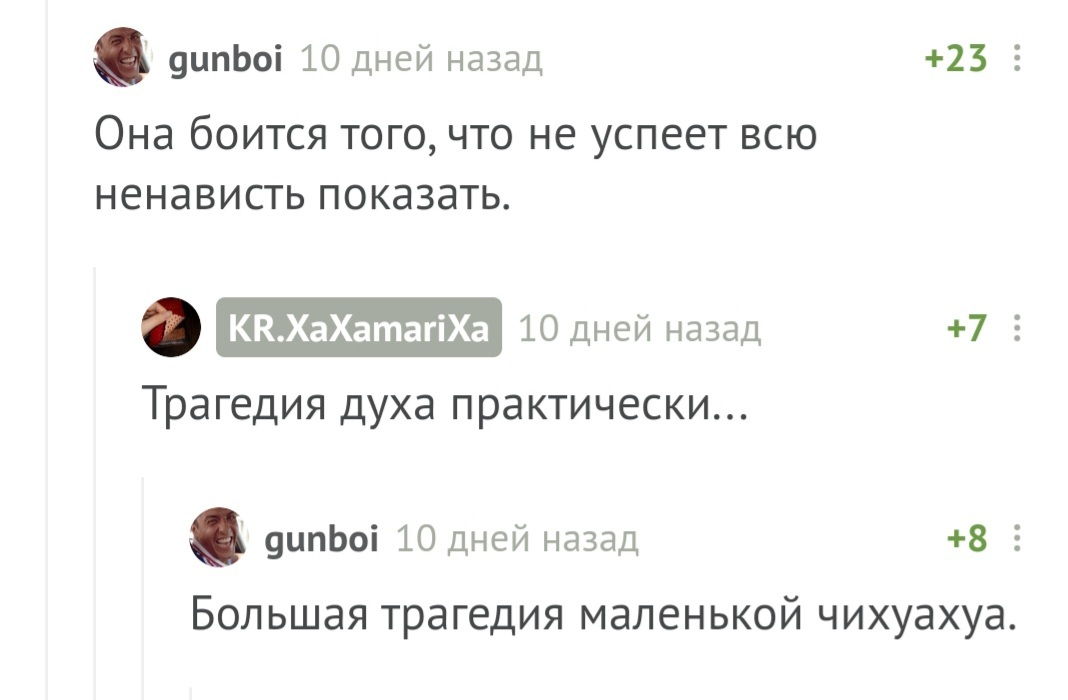 Юмора пост: тайна таксы, скорбь чихуахуа и момент истины - Собака, Такса, Чихуахуа, Шпиц, Овчарка, Человек, Юмор, Комментарии на Пикабу, Длиннопост