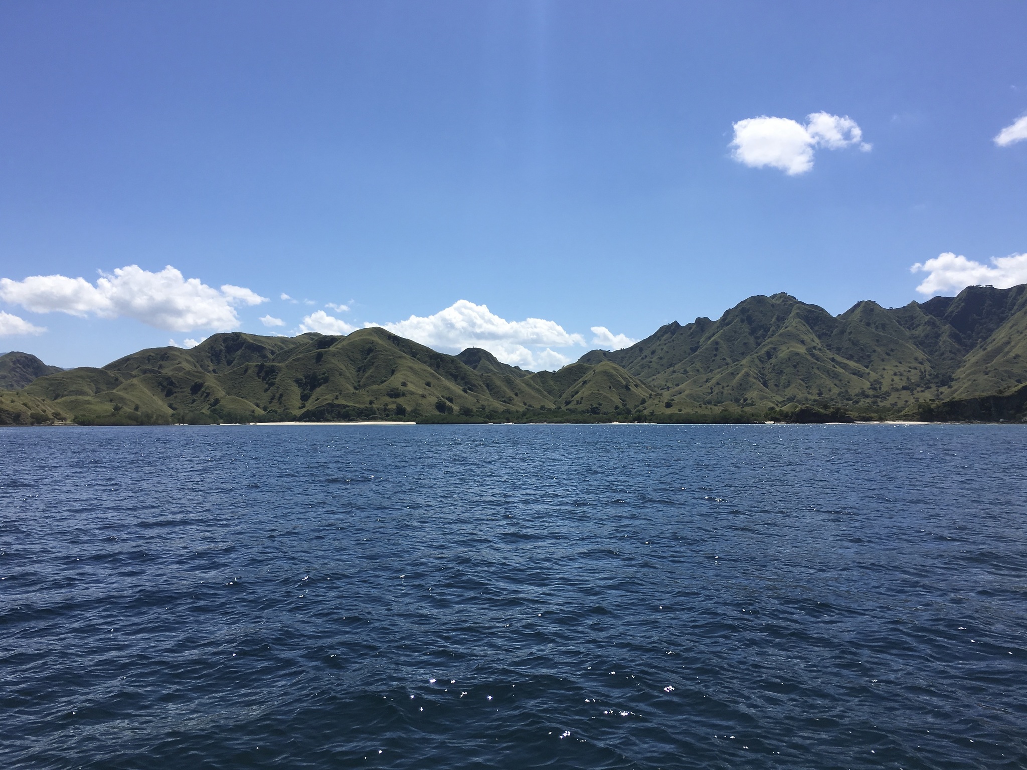 An island where dragons live in the trees, deer are under the house, and the rangers have no pistols, but only slingshots - My, Monitor lizard, Komodo, Indonesia, The photo, Mobile photography, Longpost