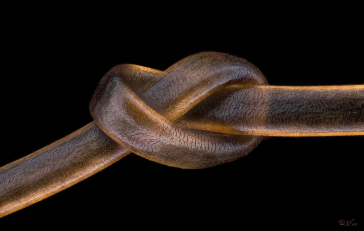 Knot on human hair - Hair, Interesting, Macro photography