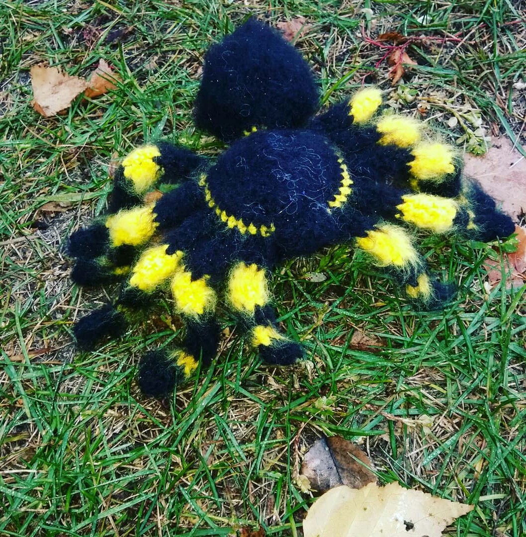 Паук | Пикабу