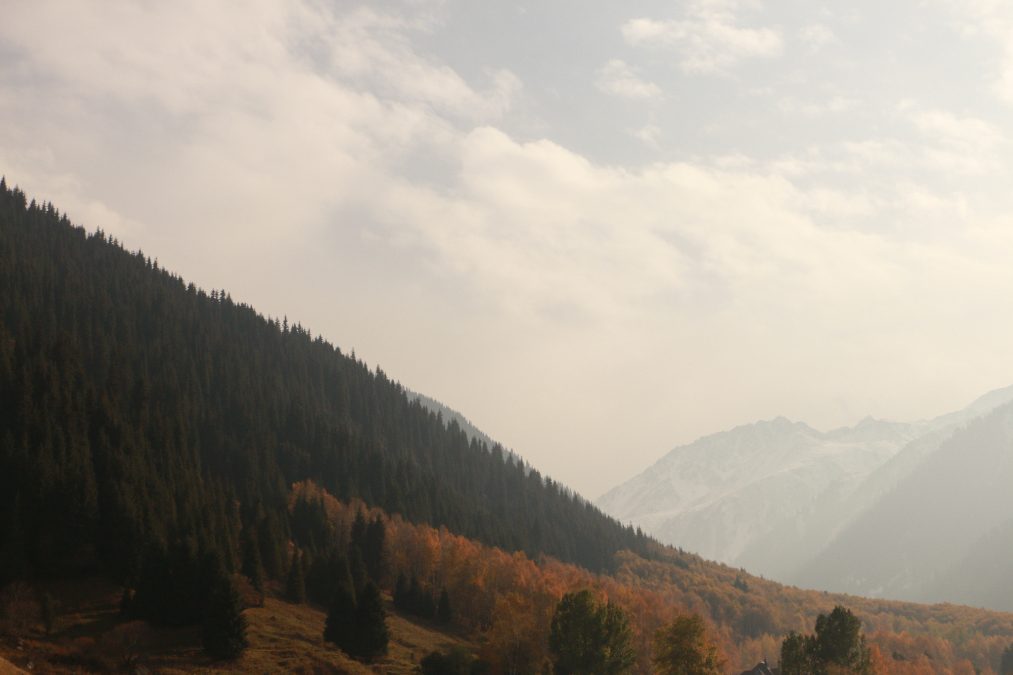 Autumn in the mountains - My, The photo, Autumn, The mountains, Almaty, Longpost