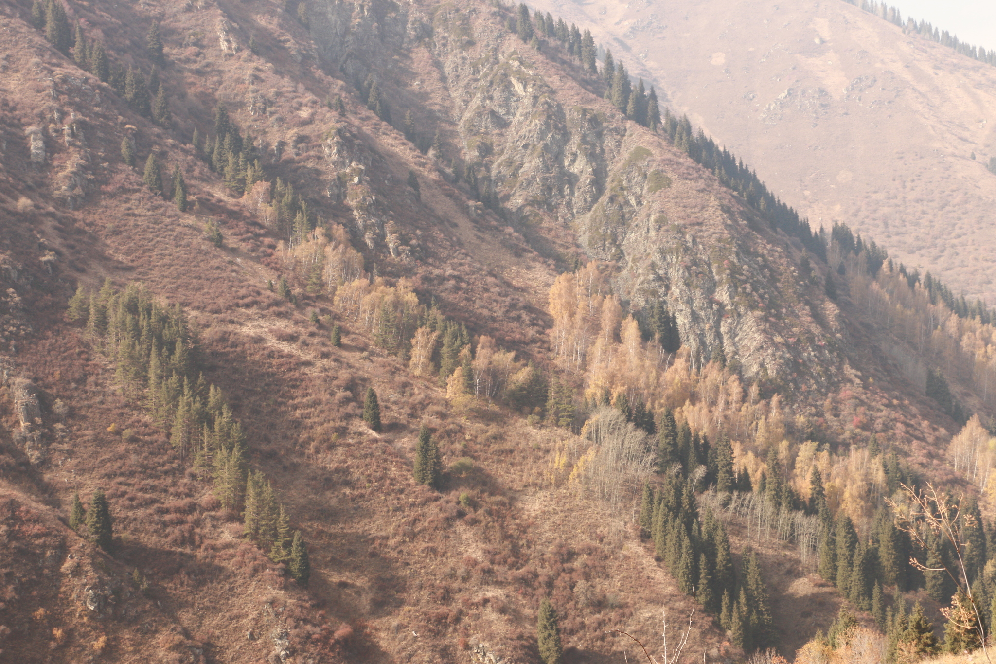 Autumn in the mountains - My, The photo, Autumn, The mountains, Almaty, Longpost