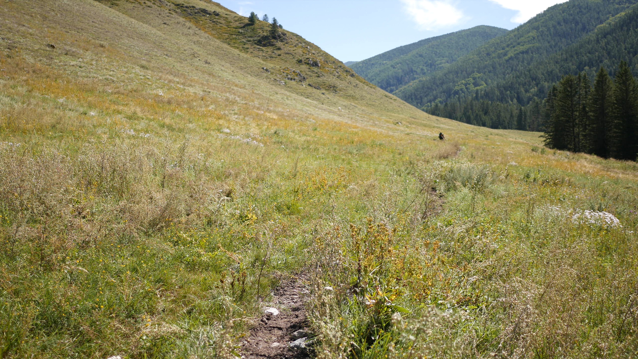 Mountain Altai. Hiking along the Oroktoy trail - My, Mountain Altai, Altai Republic, Tourism, Hike, Hiking, Landscape, Outdoor, Video, Longpost