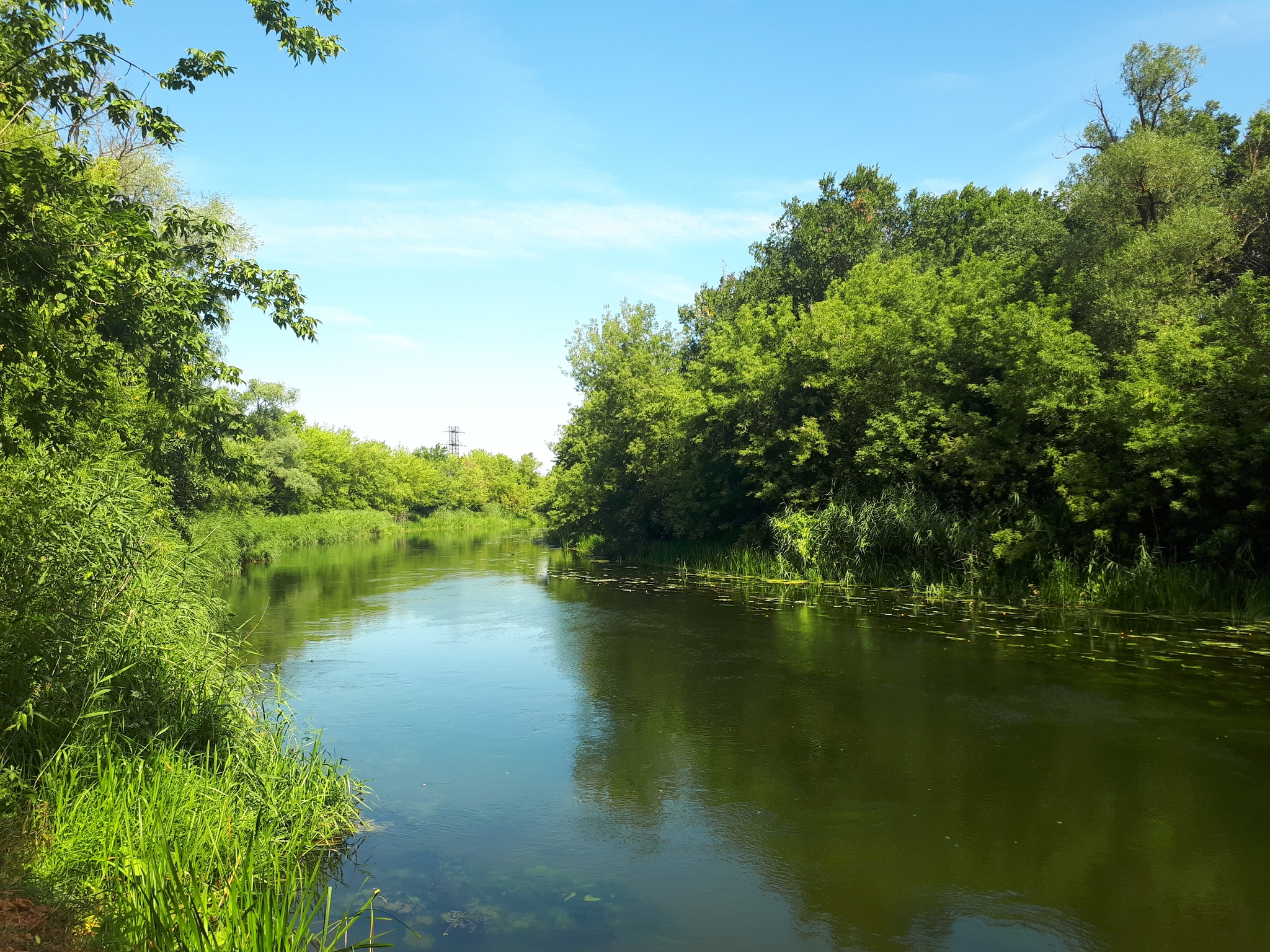 No meaning, just enjoy the view - My, Nature, River, Forest, Longpost