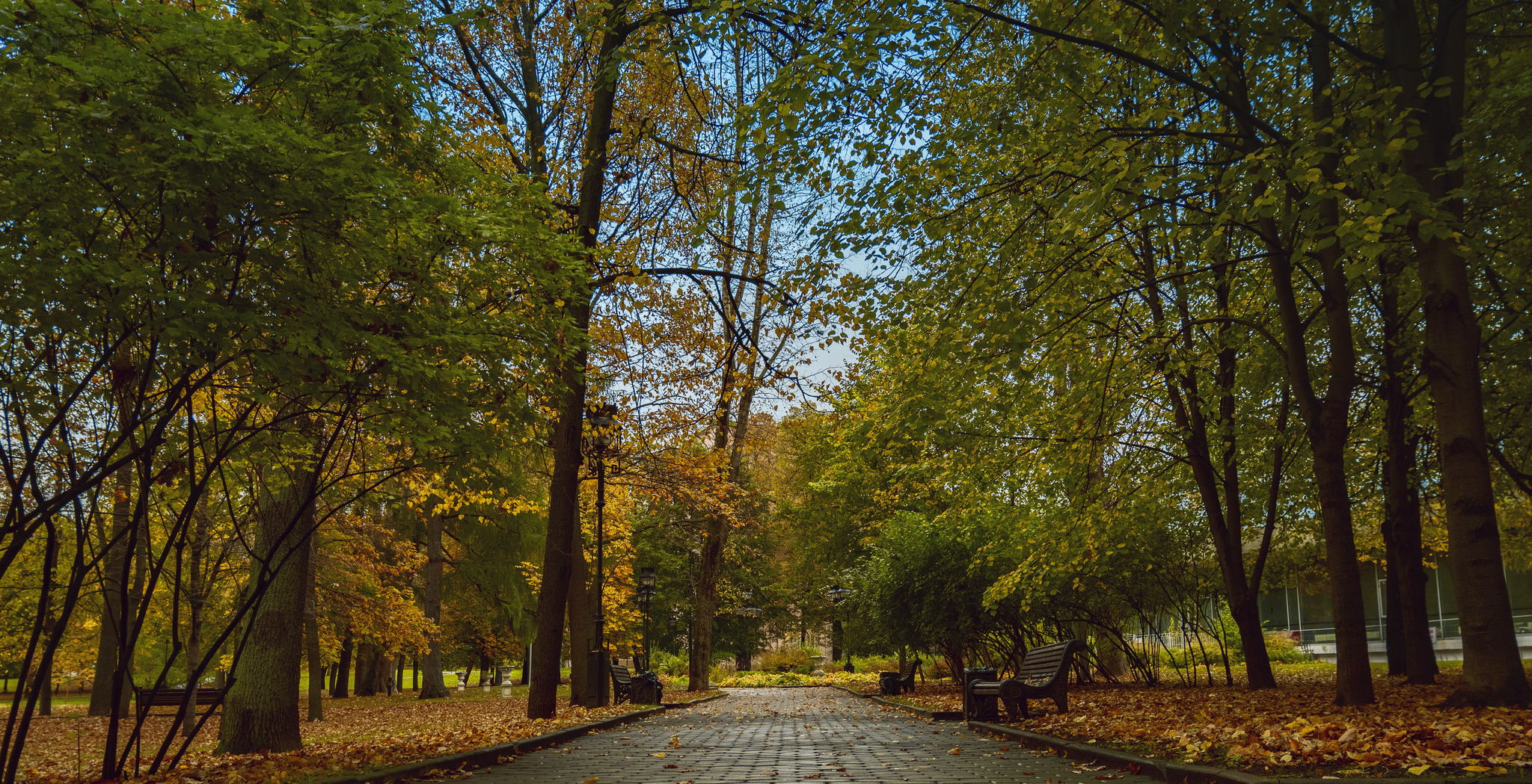 It was autumn in the yard - My, The photo, Autumn, Moscow