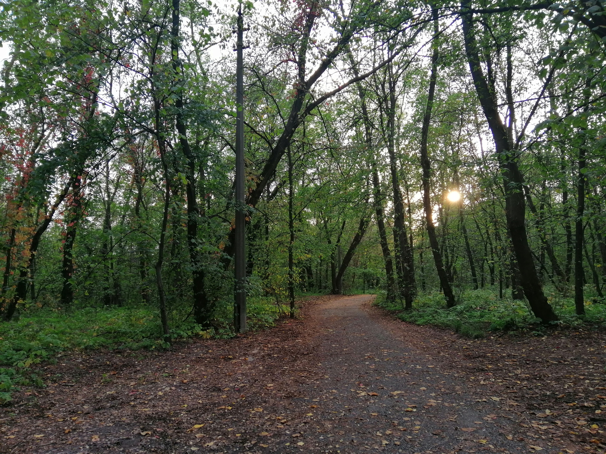 Babi Yar - My, Kiev, Babi Yar, Longpost