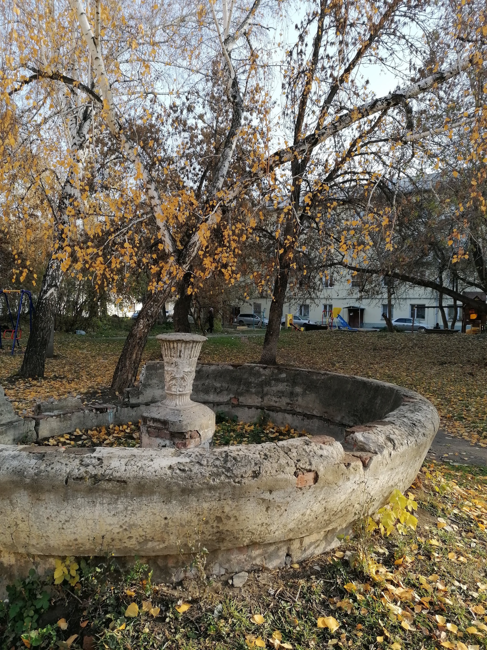 Осенние мотивы при первых проблесках зари... - Моё, Новосибирск, Мобильная фотография, Осень, Фотография, Старое, Заброшенное