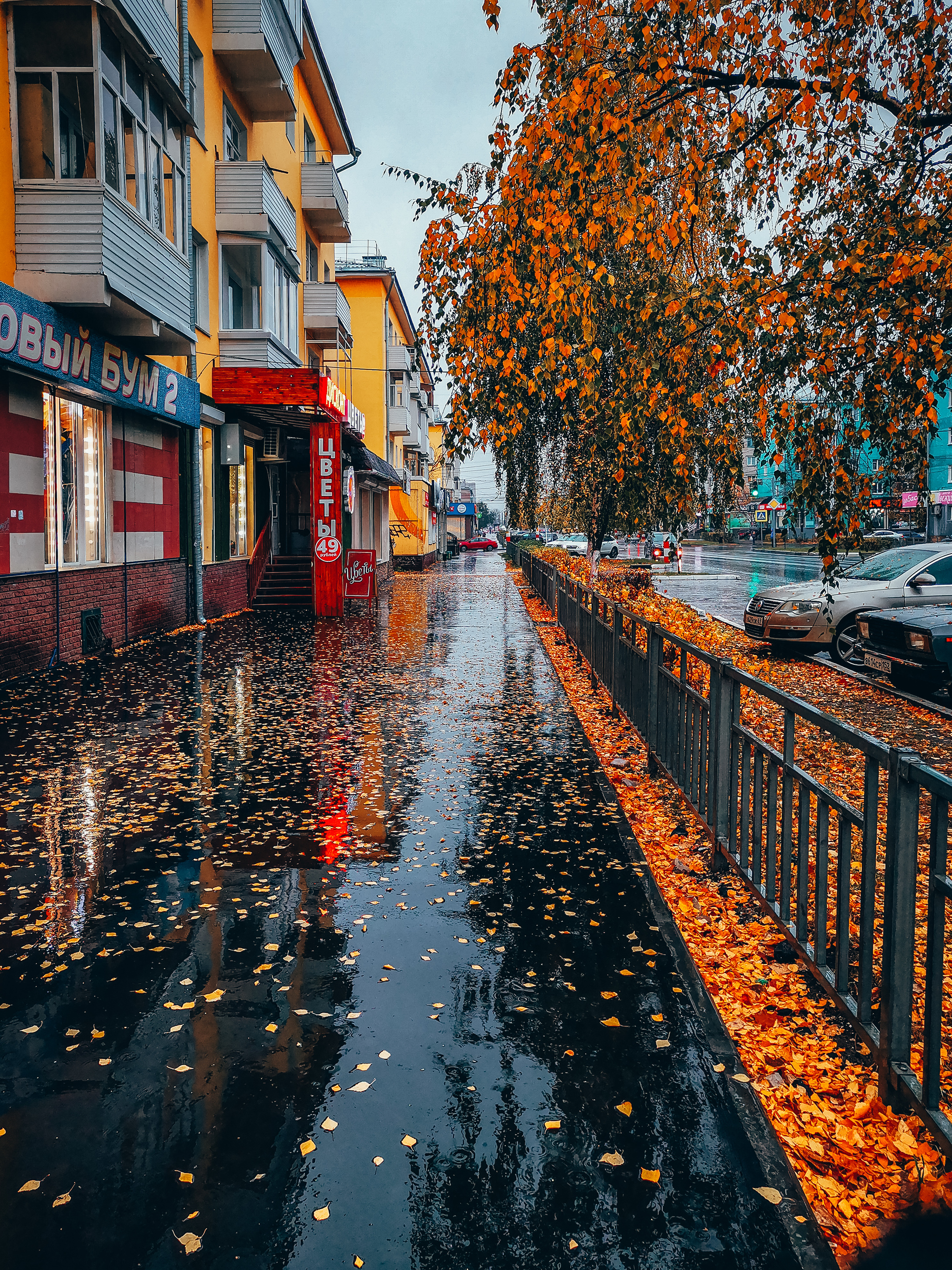 Rainy - My, Mobile photography, Autumn, Rain, A bike, Longpost, The photo