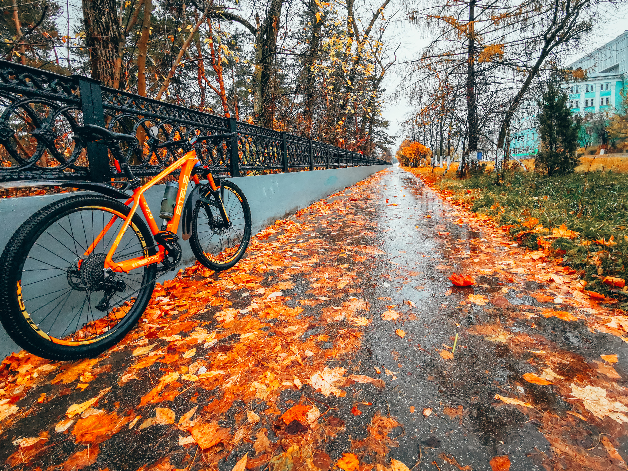 Rainy - My, Mobile photography, Autumn, Rain, A bike, Longpost, The photo