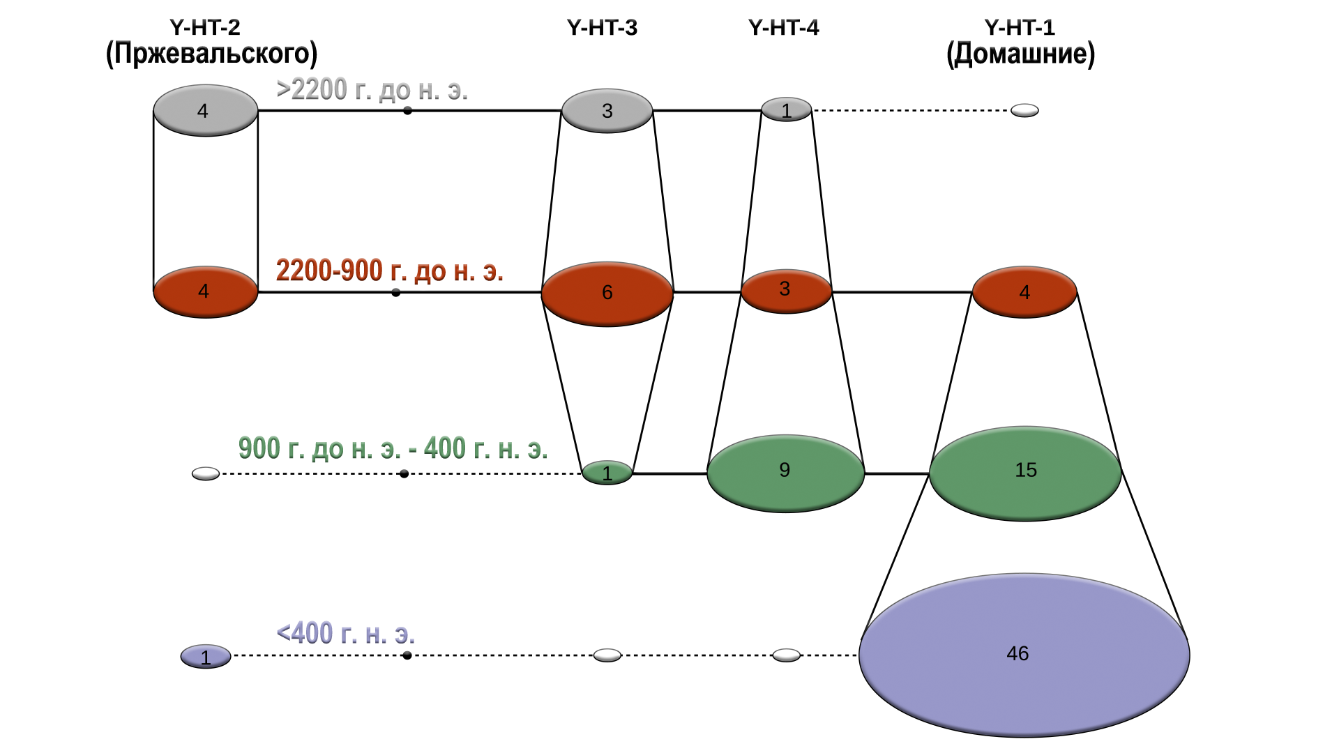 The origin of domestic horses in the Caucasus and Anatolia was clarified by DNA - My, The science, Domestication, Taming, Story, Genetics, Longpost, Anatolia, Horses, Zoology, Video