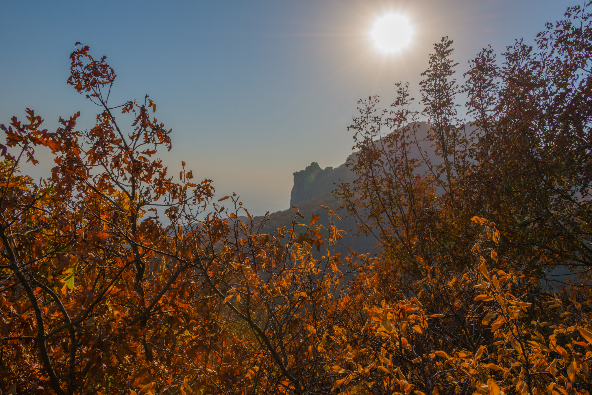 Golden autumn on Mount Beshtau - My, Autumn, Beshtau, October, Nature, Landscape, Longpost, The photo, Autumn leaves