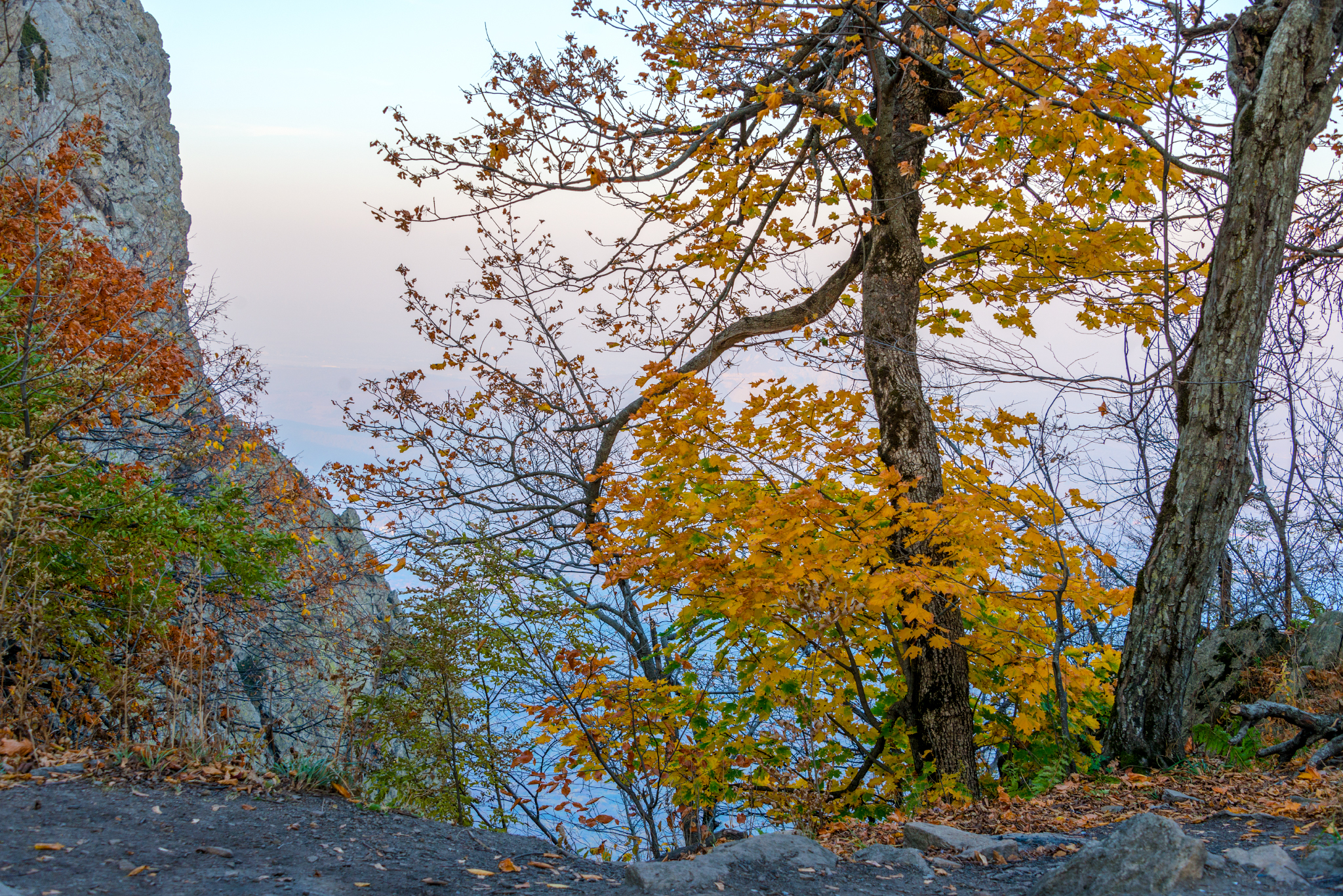 Golden autumn on Mount Beshtau - My, Autumn, Beshtau, October, Nature, Landscape, Longpost, The photo, Autumn leaves