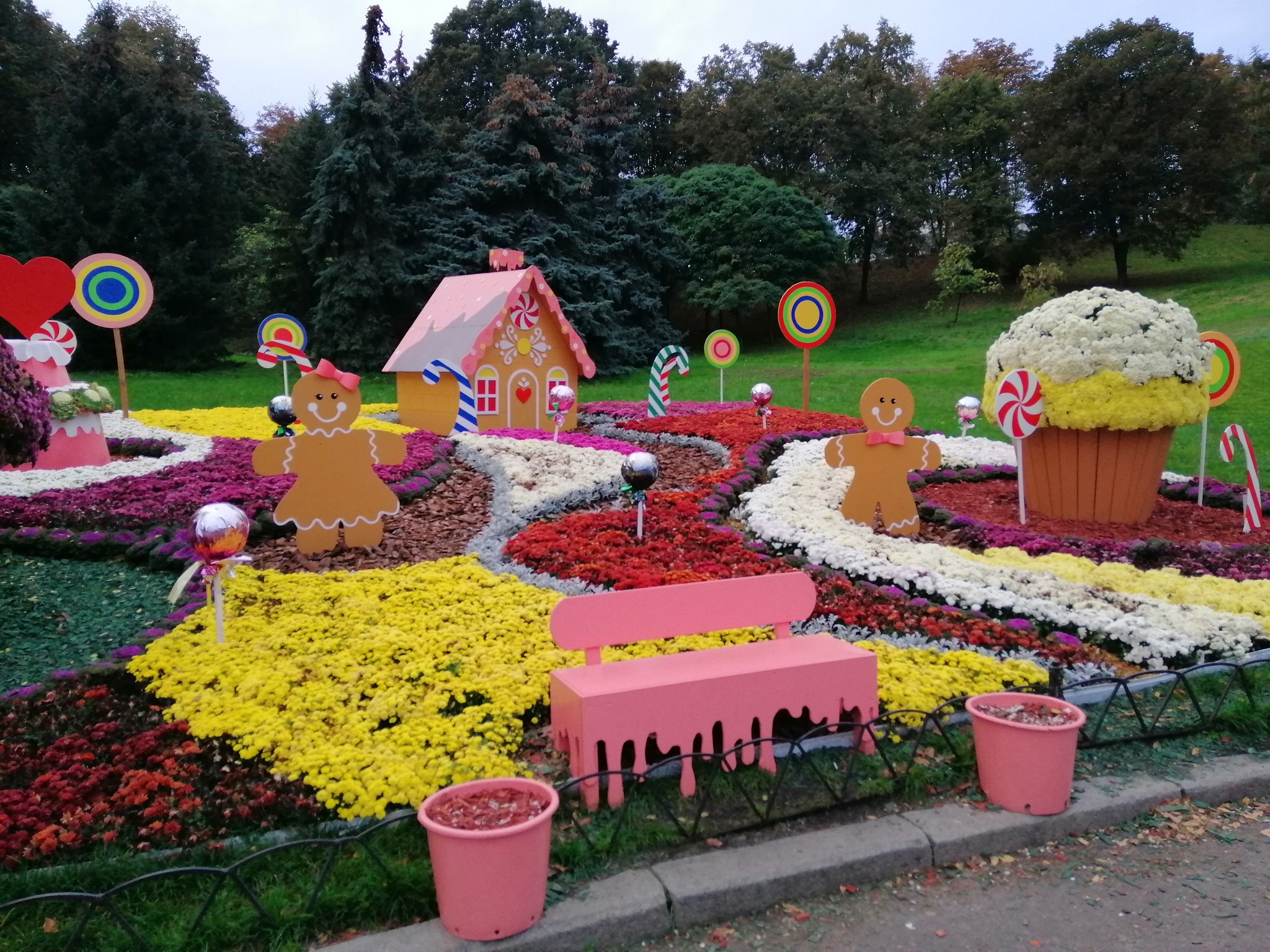 Chrysanthemum exhibition - My, Kiev, Flowers, Chrysanthemums, Autumn, Exhibition, Longpost