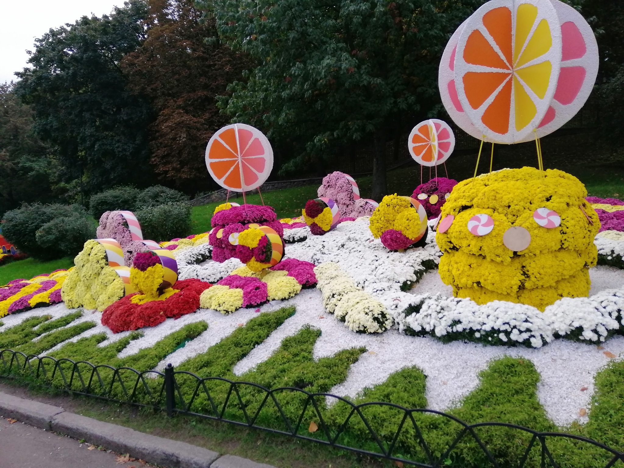 Chrysanthemum exhibition - My, Kiev, Flowers, Chrysanthemums, Autumn, Exhibition, Longpost