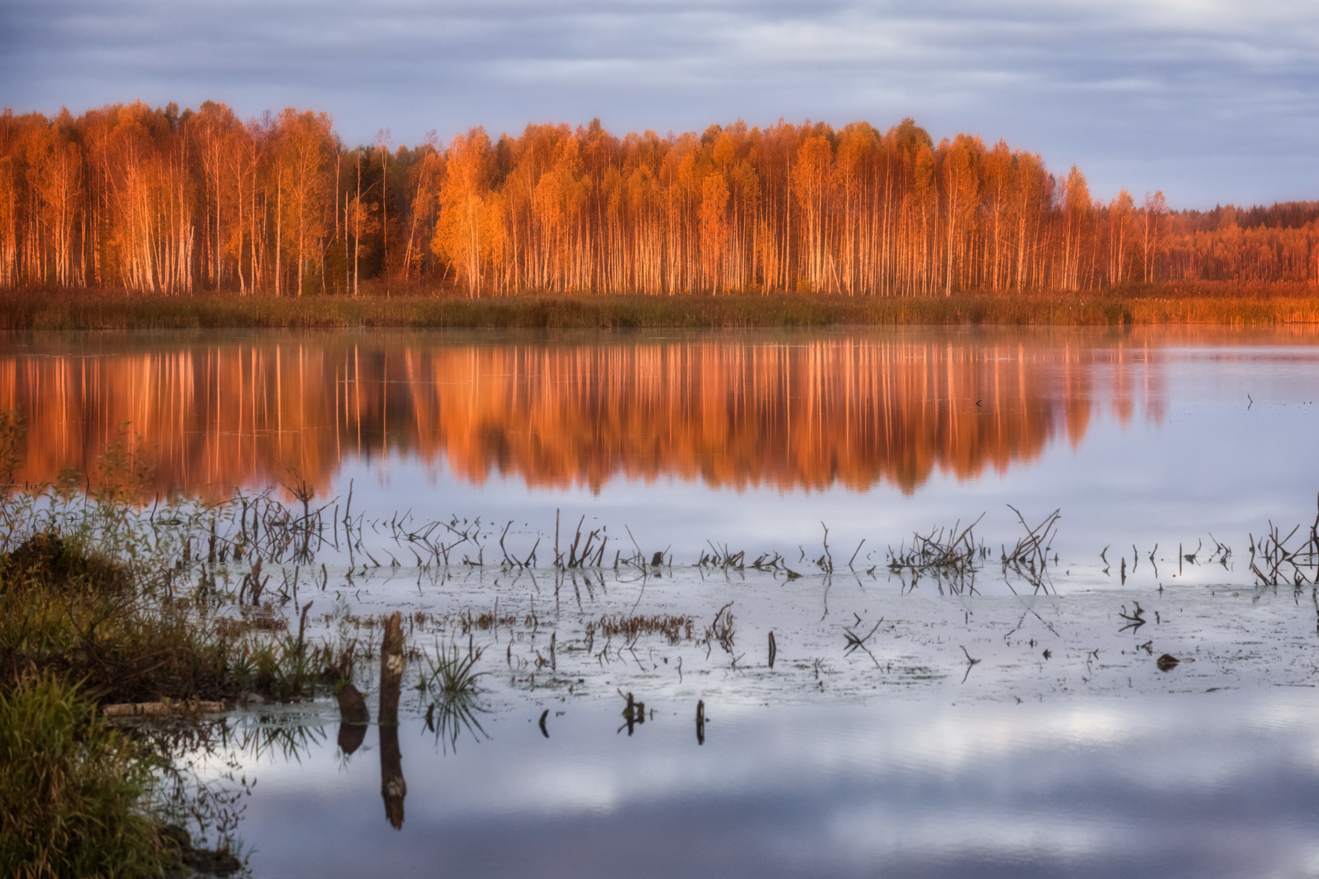 Dawn on your favorite swamp - The photo, Landscape, Fog, dawn, Swamp, Nikon D750, Longpost