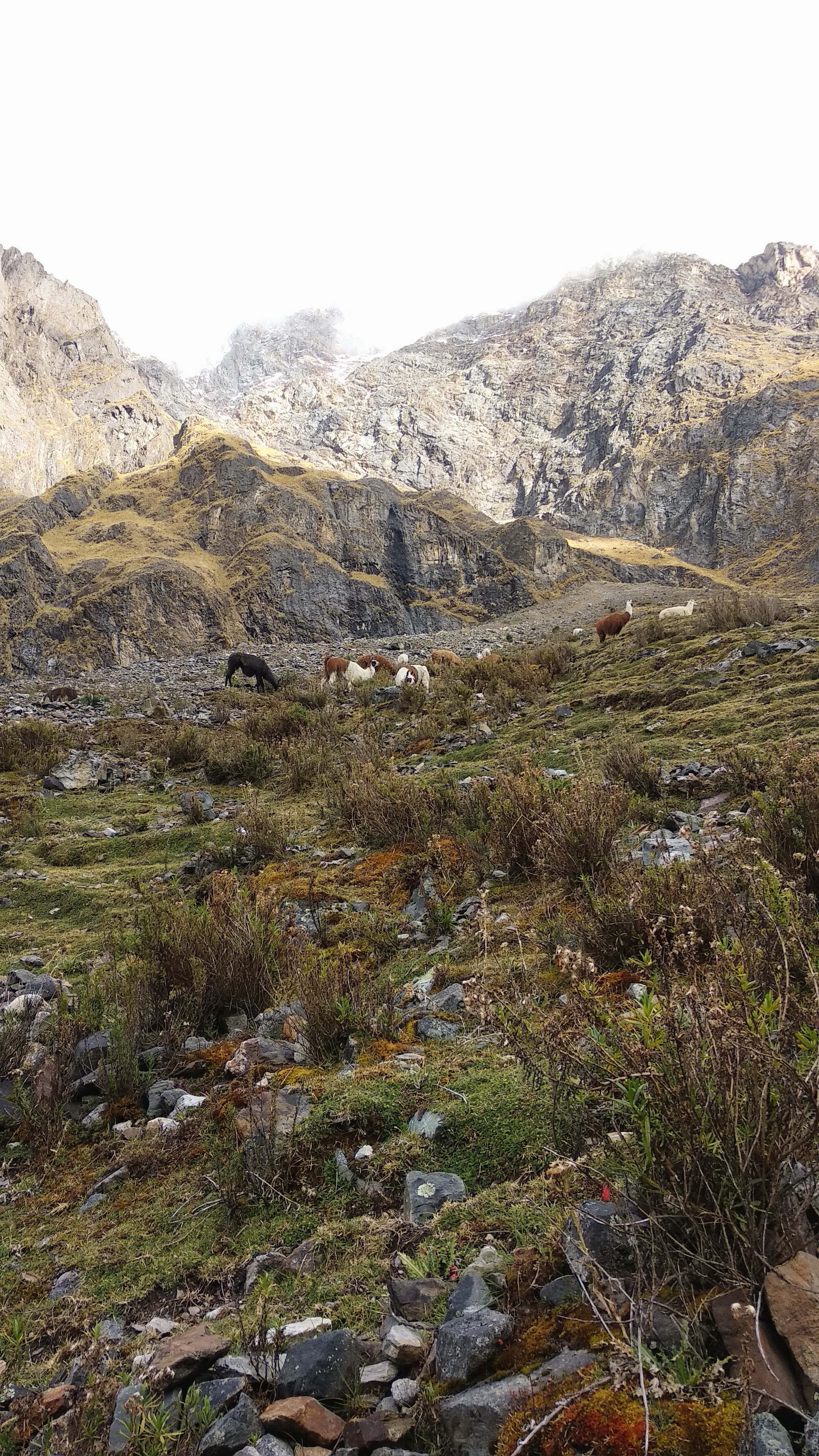 Walking distance to Machu Picchu. Salkantay trek - My, Tracking, Peru, Machu Picchu, Latin America, South America, The Incas, Altitude sickness, Hiking, Longpost