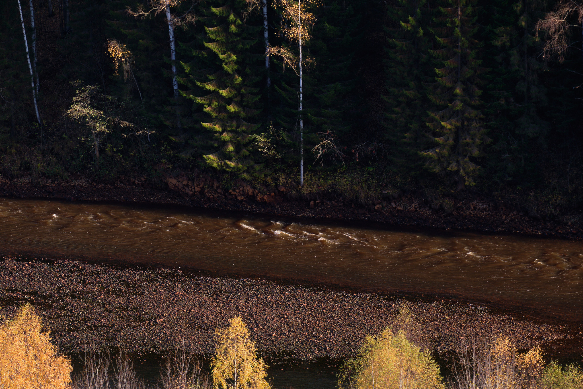 Golden autumn in the Perm region - My, Ural, Perm Territory, Autumn, The rocks, Forest, Longpost