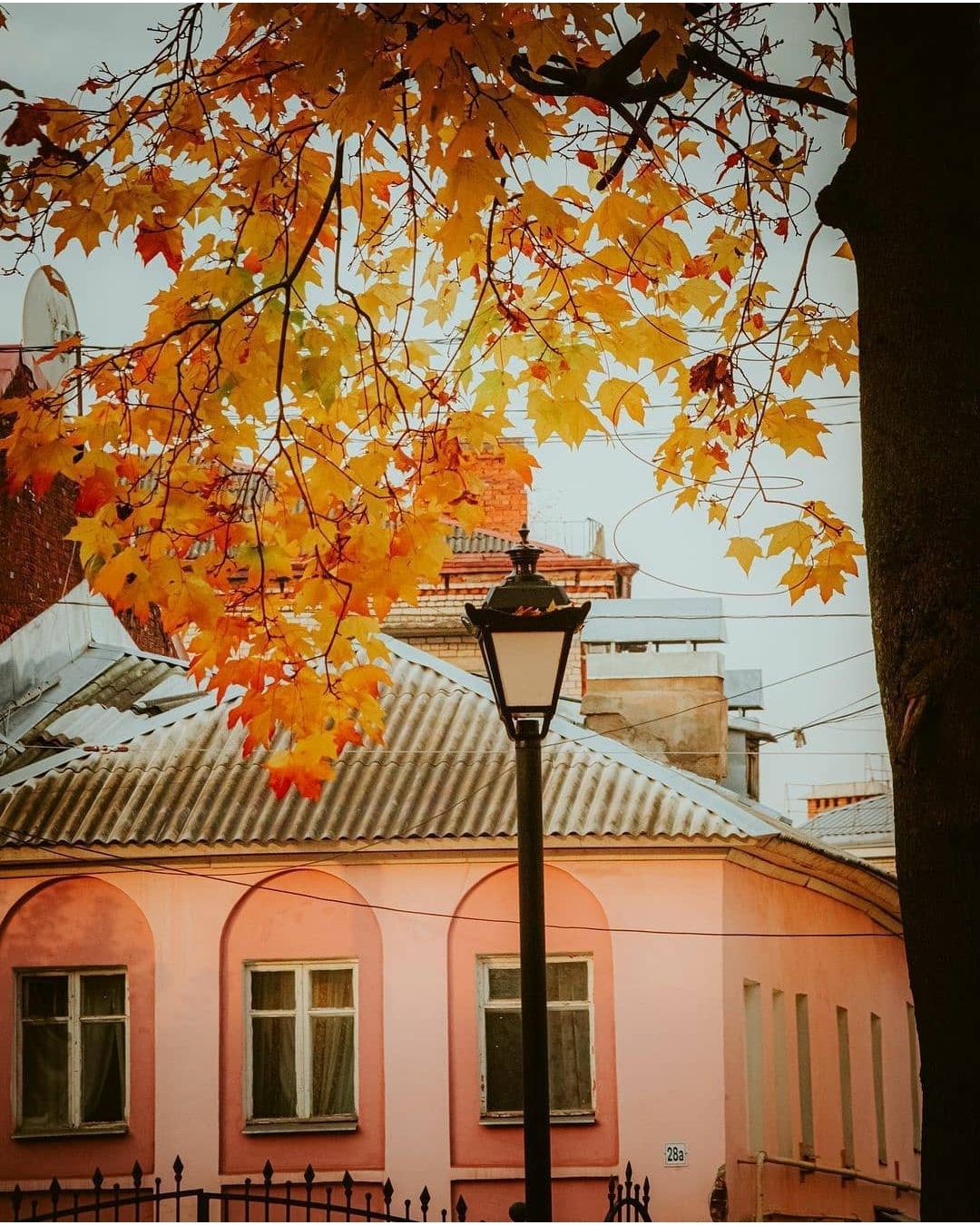 Rybinsk - Russia, The photo, Autumn, Rybinsk, Nature, Town, Bridge, River, Longpost